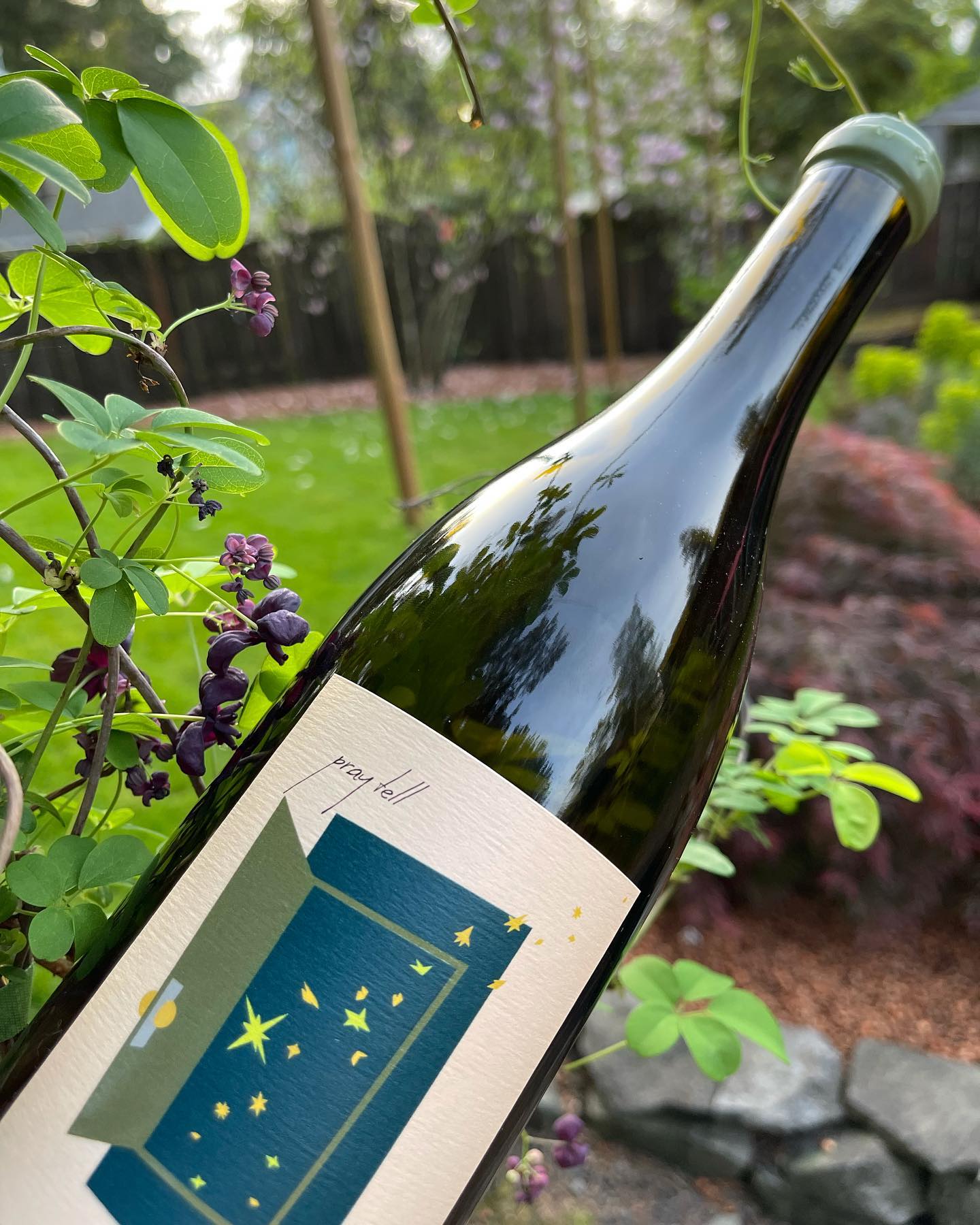 What an absolutely gorgeous day! I had to break open a Chardonnay I got last week. I ha…