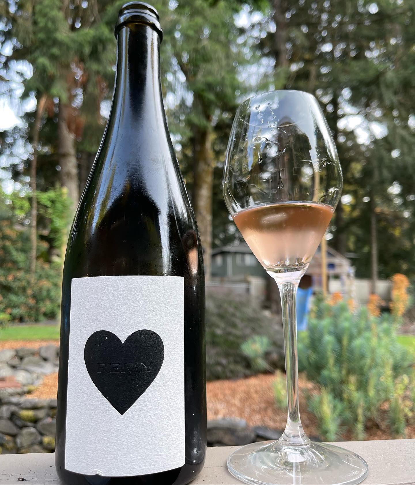 2020 Black Heart Pinot Noir Want Review