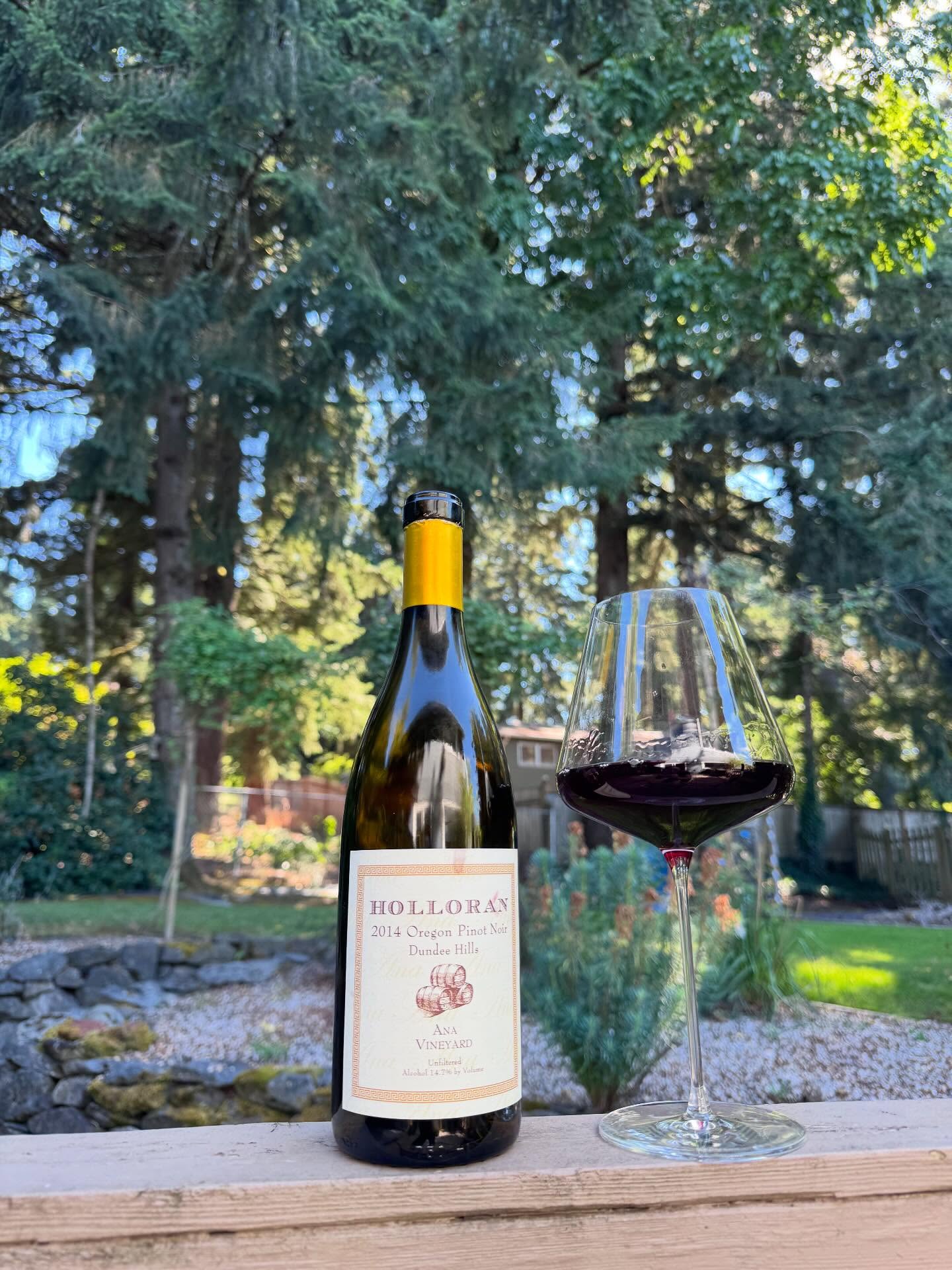 2014 Ana Vineyard Pinot Noir Review