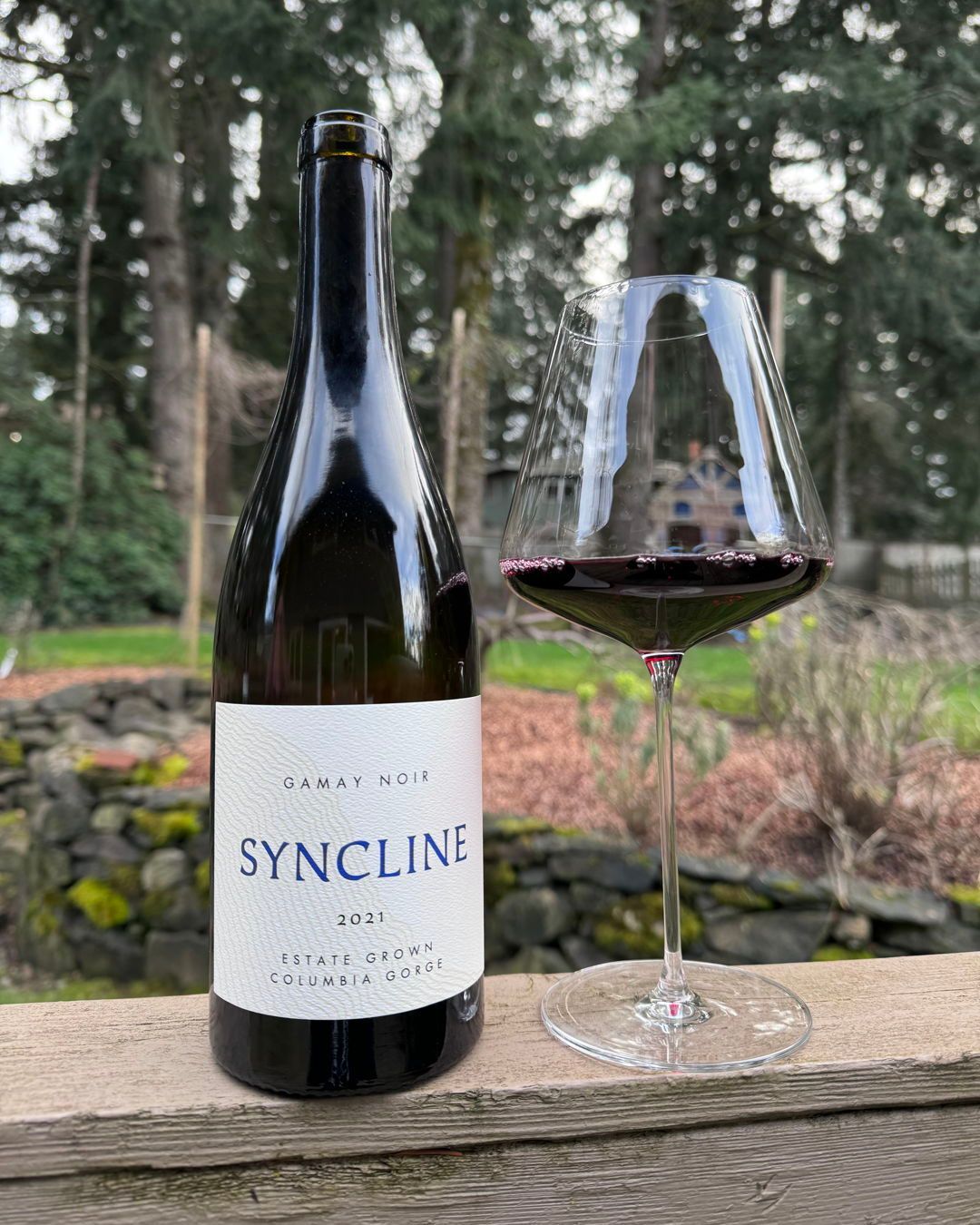2022 Hundred Suns Gamay Noir Review