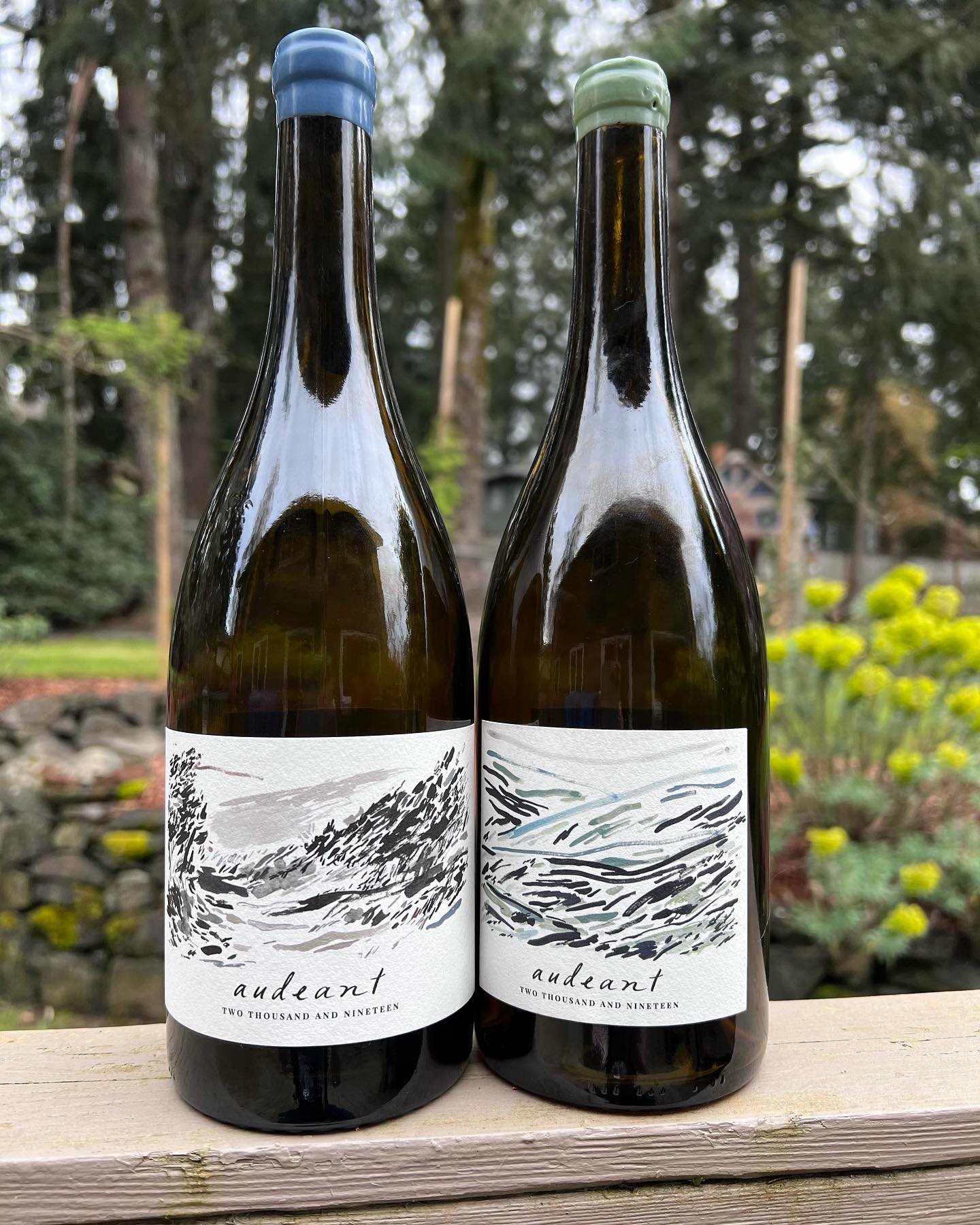 2019 Luminous Hills Review