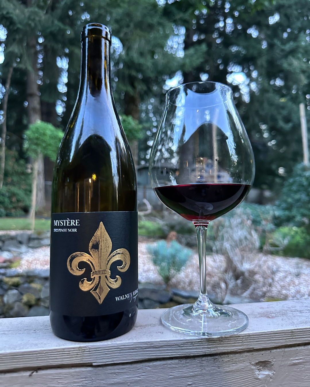 2022 Walnut Ridge Vineyard Mystere Pinot Noir Review