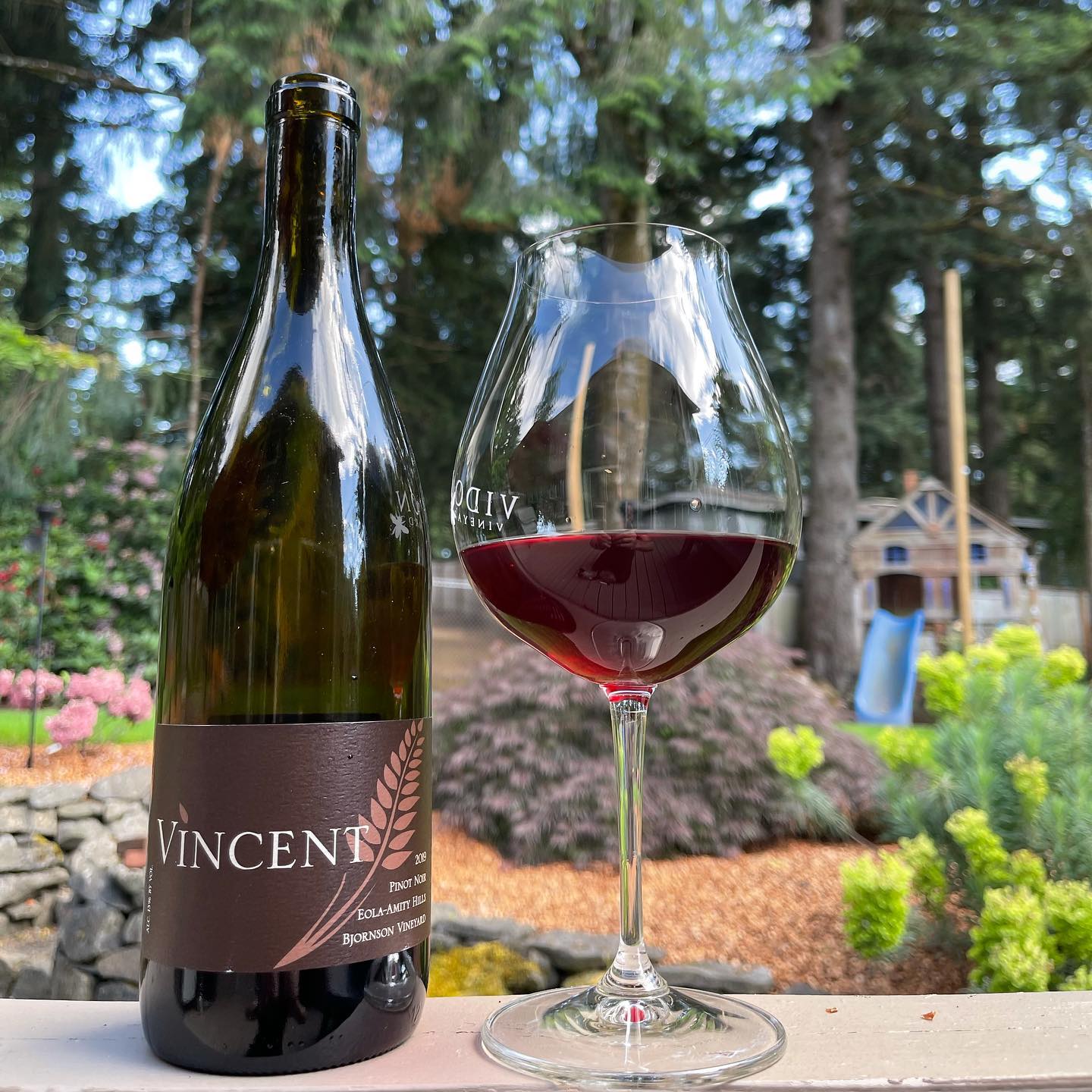 2019 Bjornson Vineyard Pinot Its Review