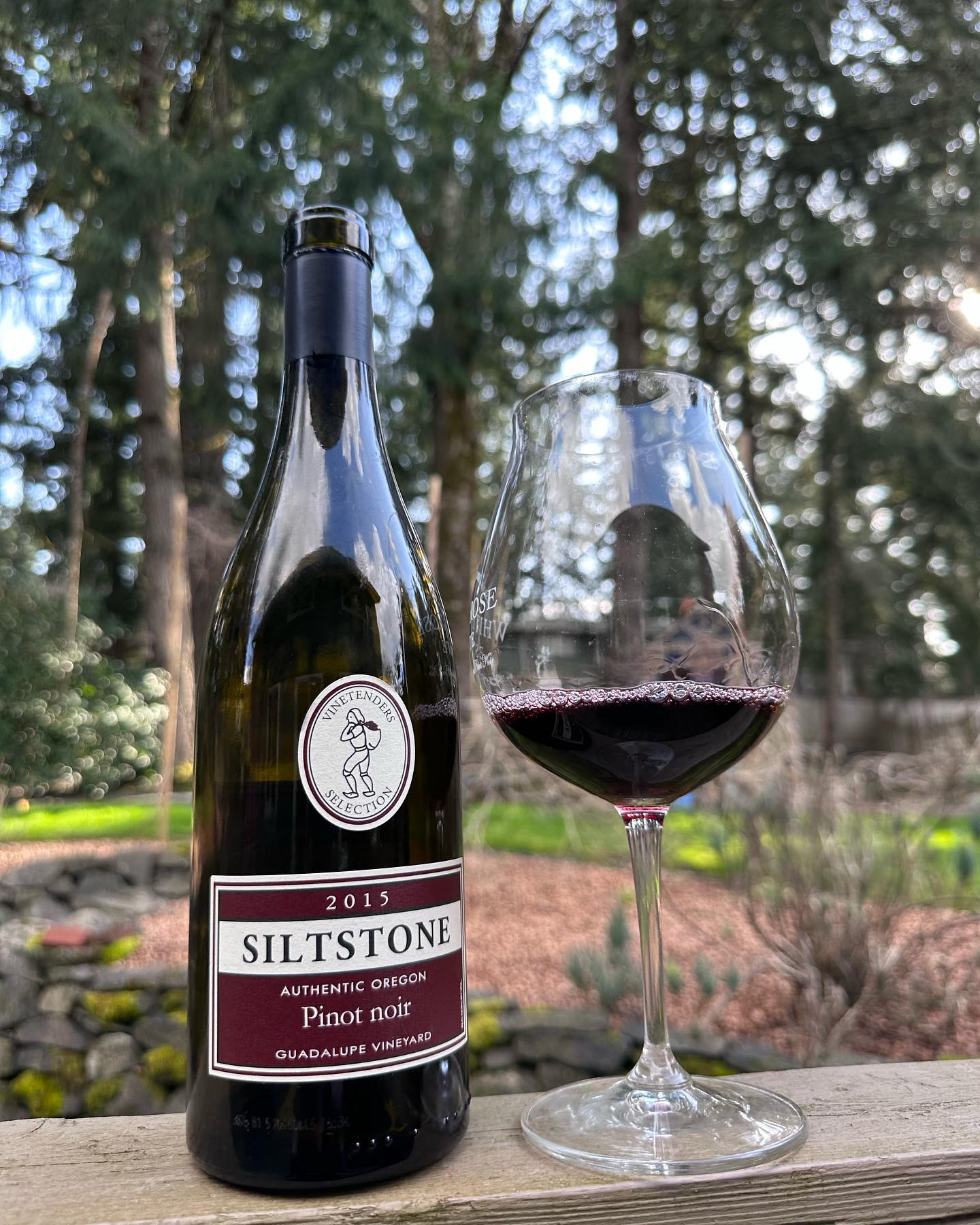 2015 Siltstone Guadalupe Vineyard Pinot Noir Review