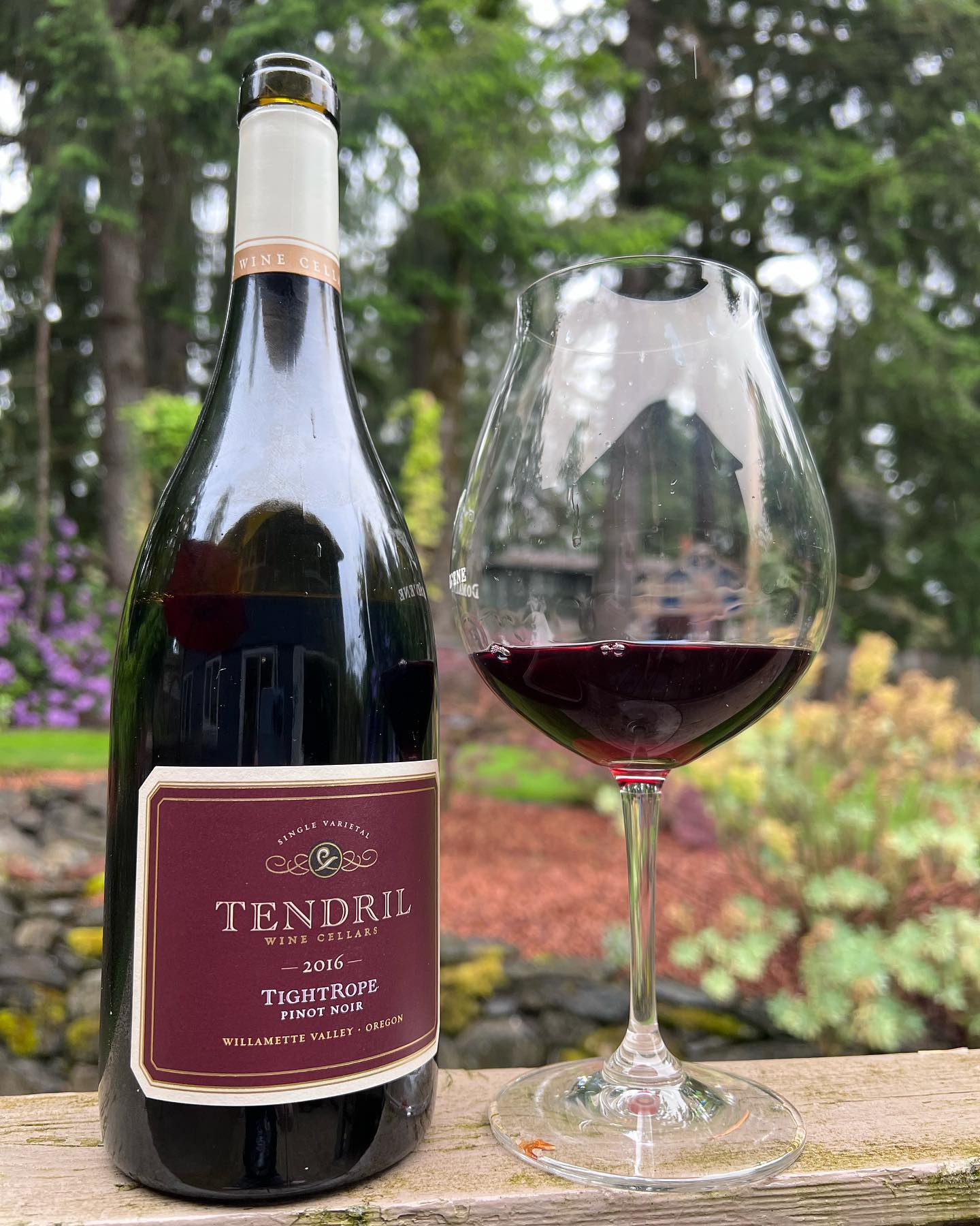 2016 Tendril Tightrope Review