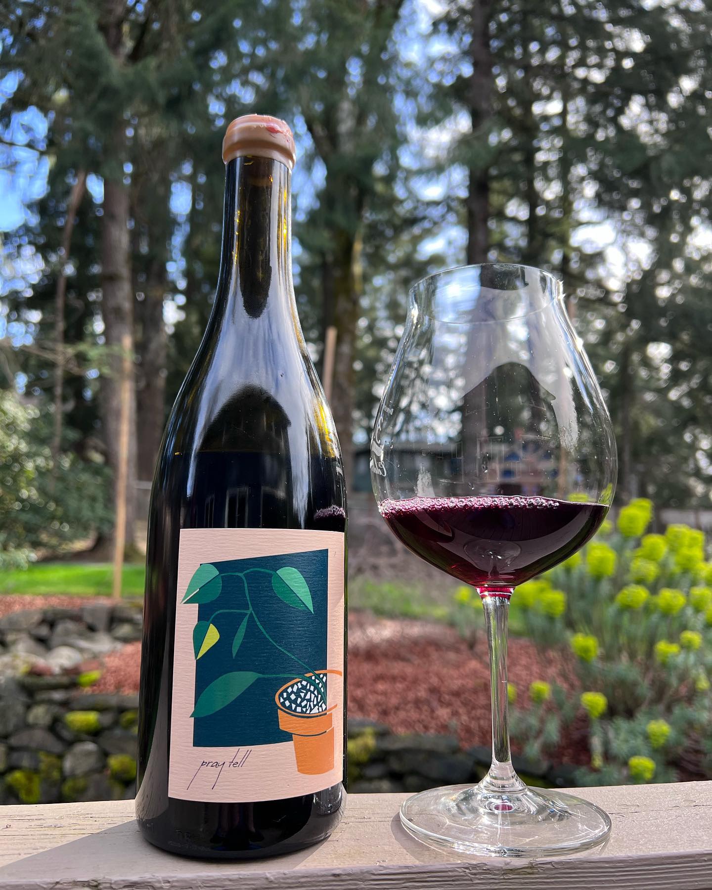 2019 Willamette Valley Pinot Review