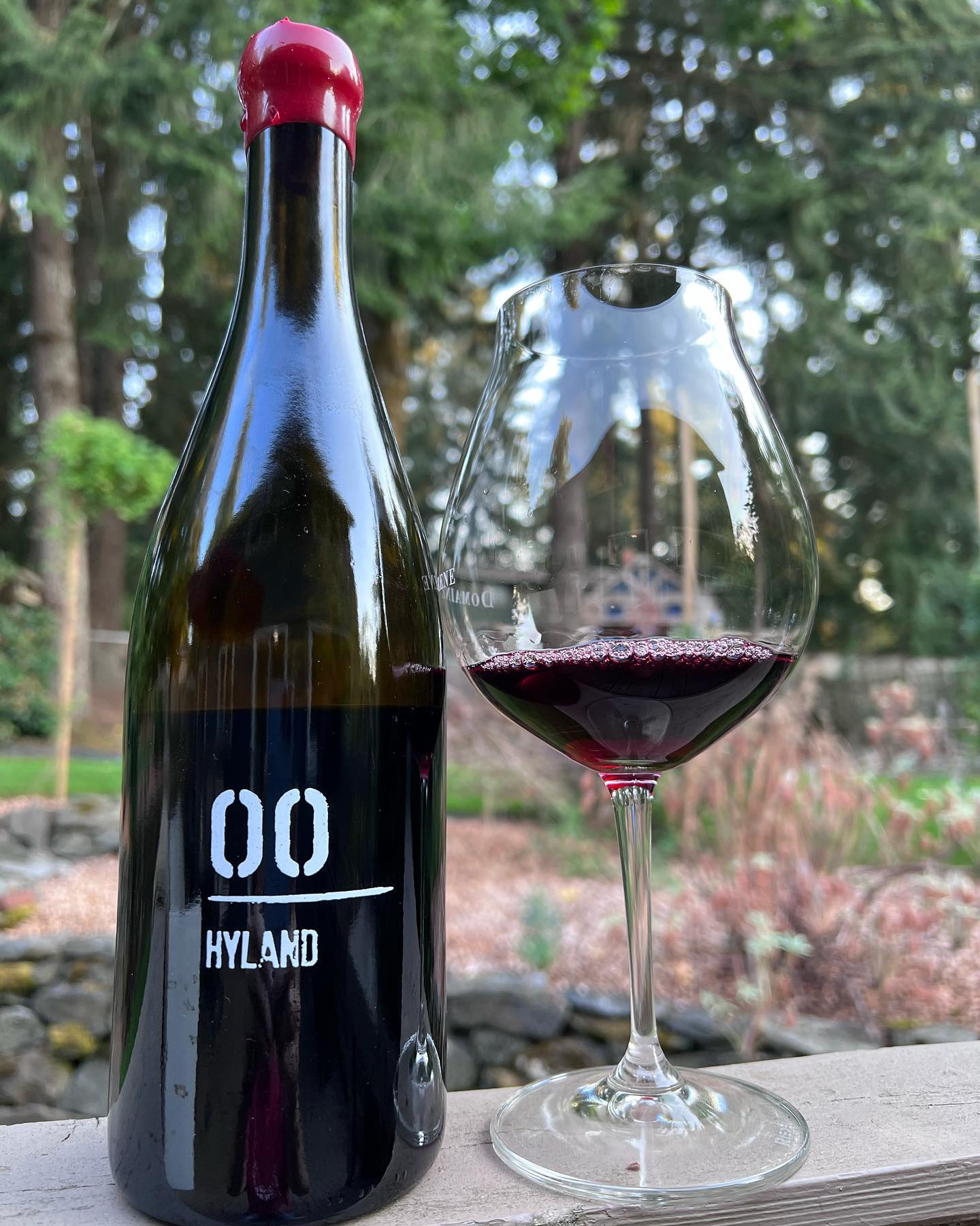 2018 Hyland Pinot Noir Review