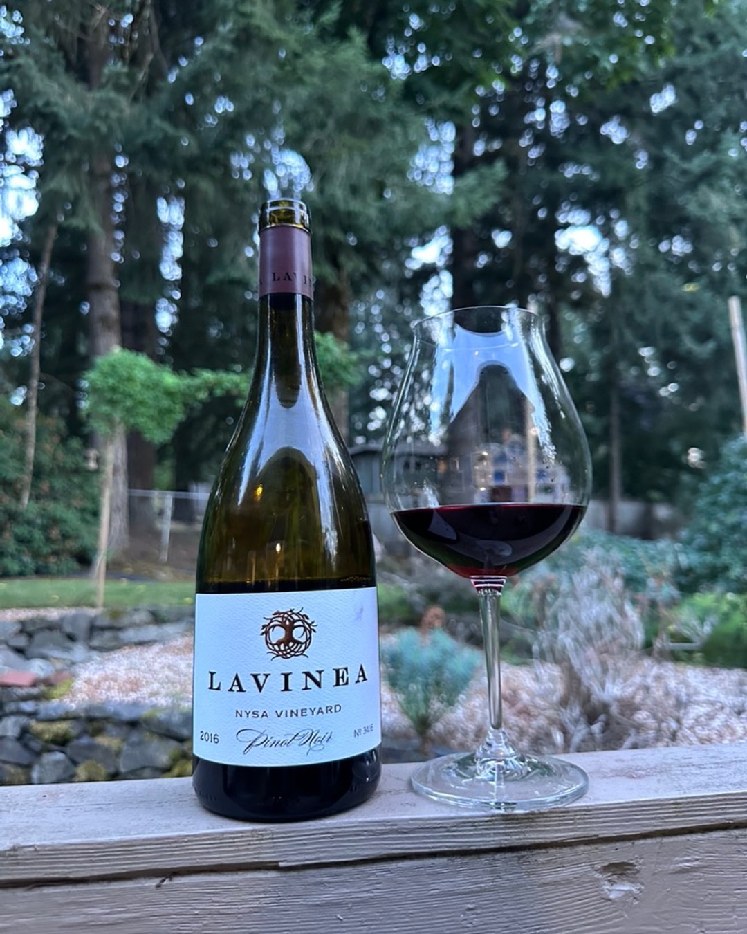 2016 Lavinea Nysa Pinot Noir Review