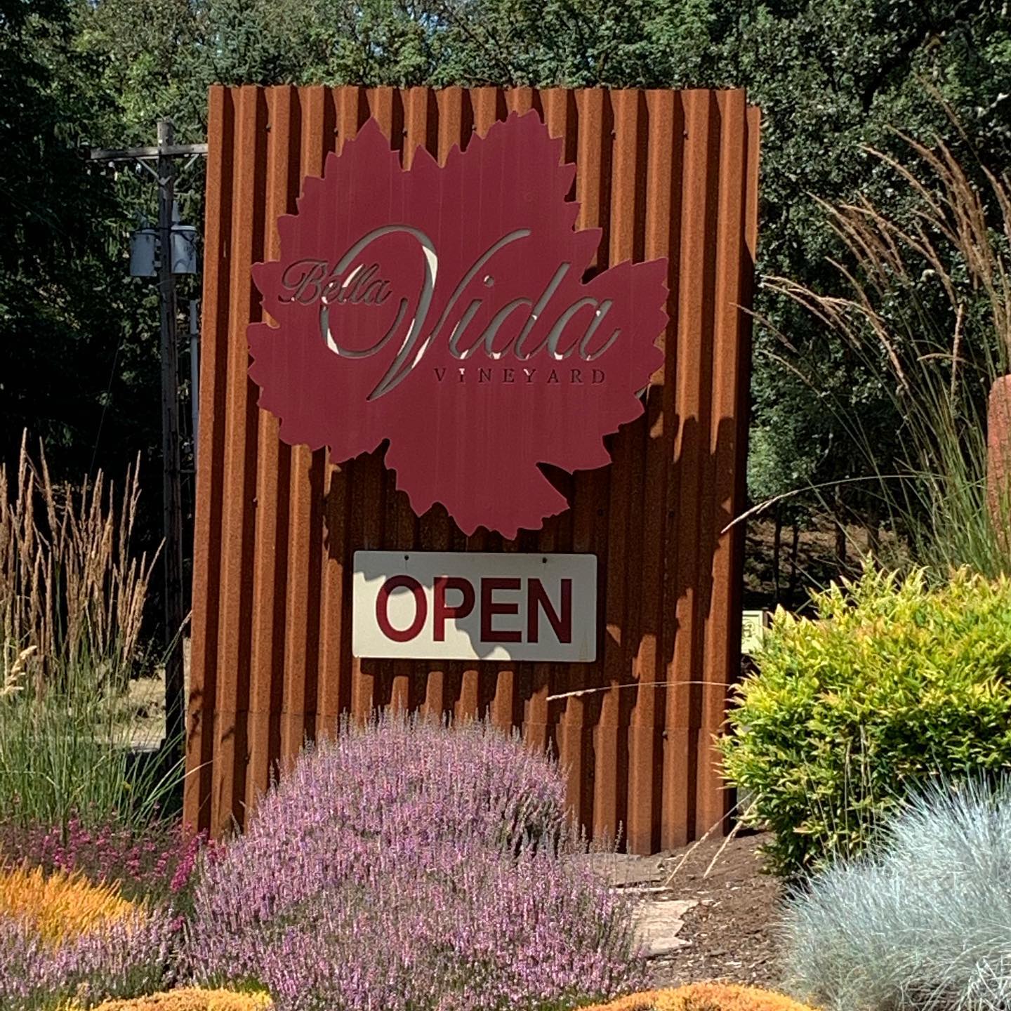 @bella_vida_vineyard was the first stop today. This is quite the hidden gem.