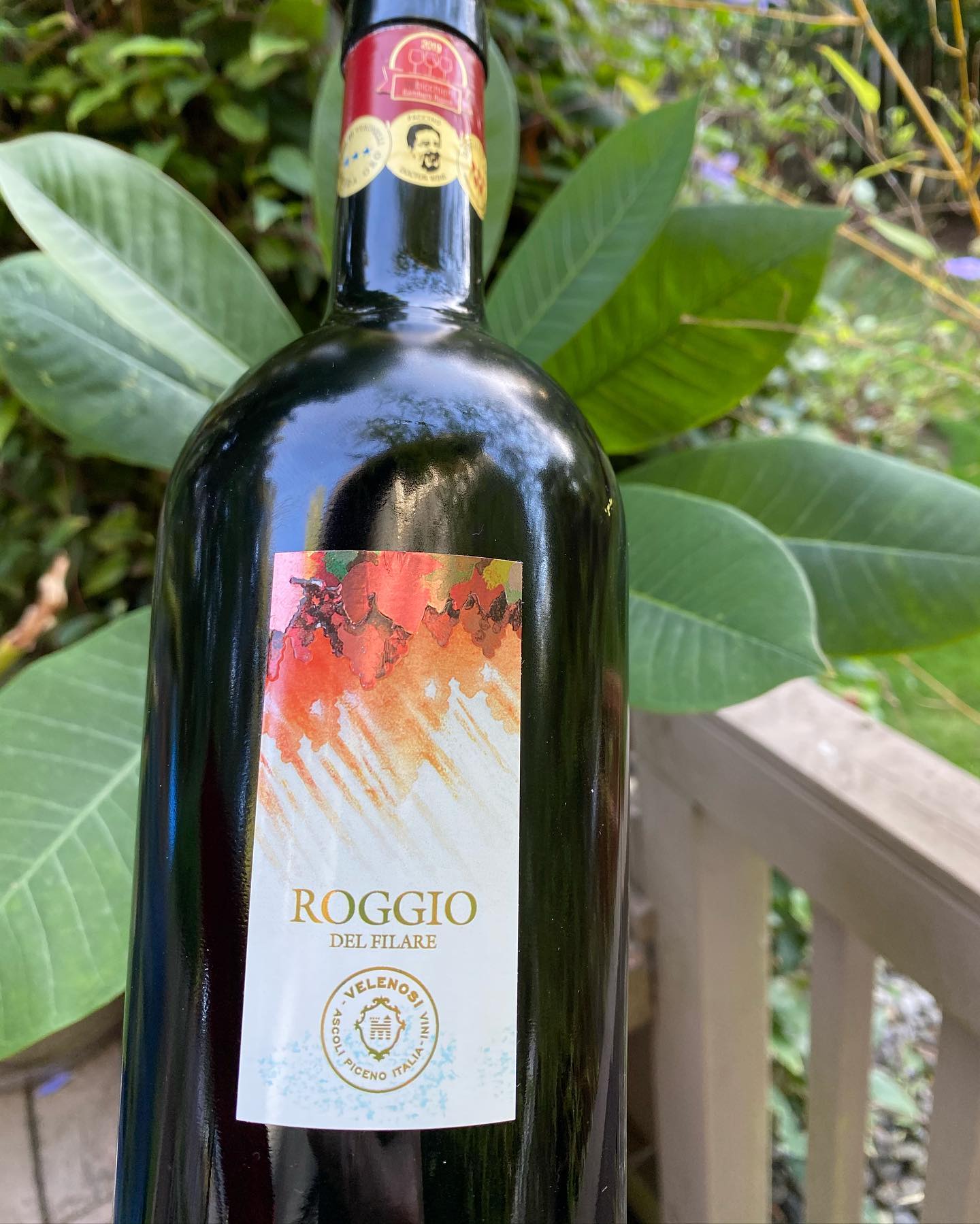 2015 Roggio Del Filare Rosso Piceno Superiore Review