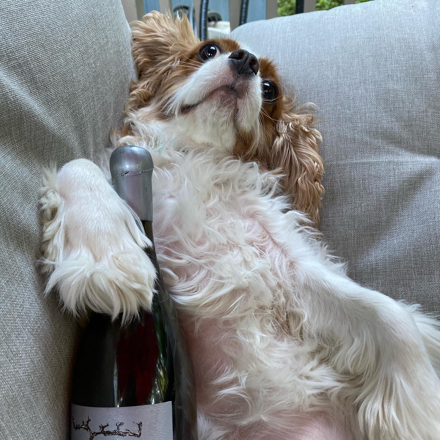 Somebody is getting cut off🤣🤣🤣 Here’s to a nice long sunny weekend. I hope everyone …