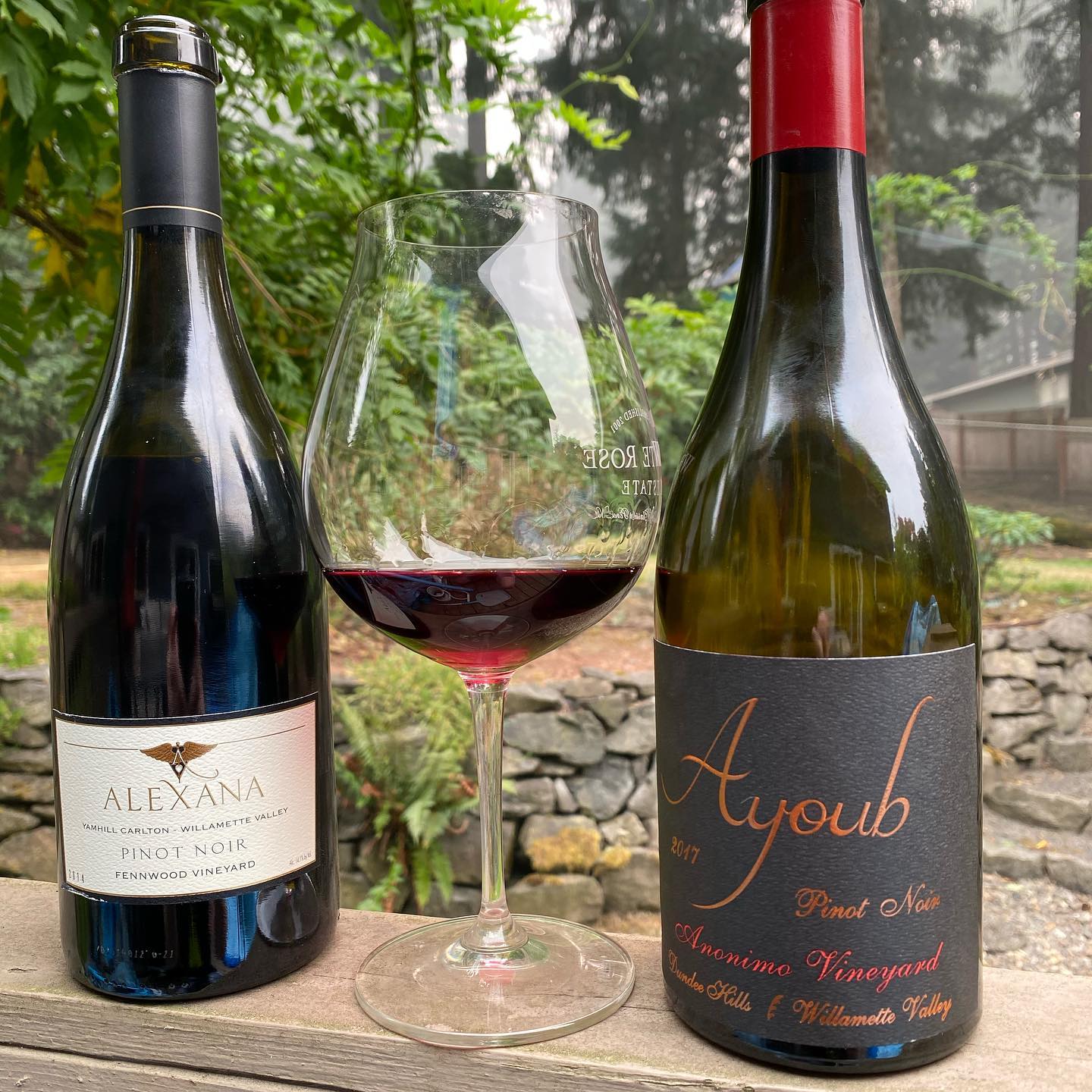2017 Ayoub Anonimo Review