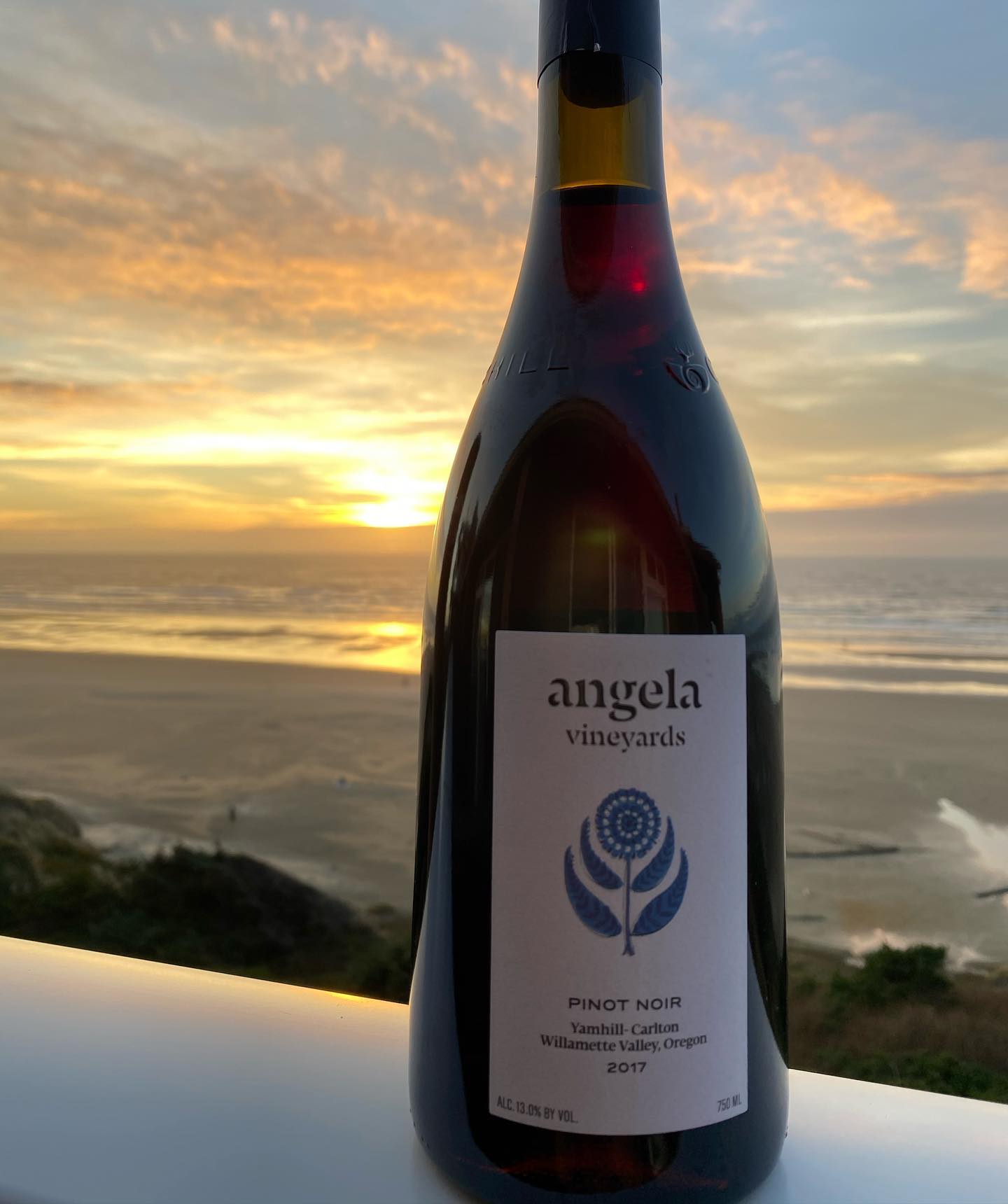 Last night I picked up a bottle I had never heard of. Angela Vineyards in Carlton. Medi…