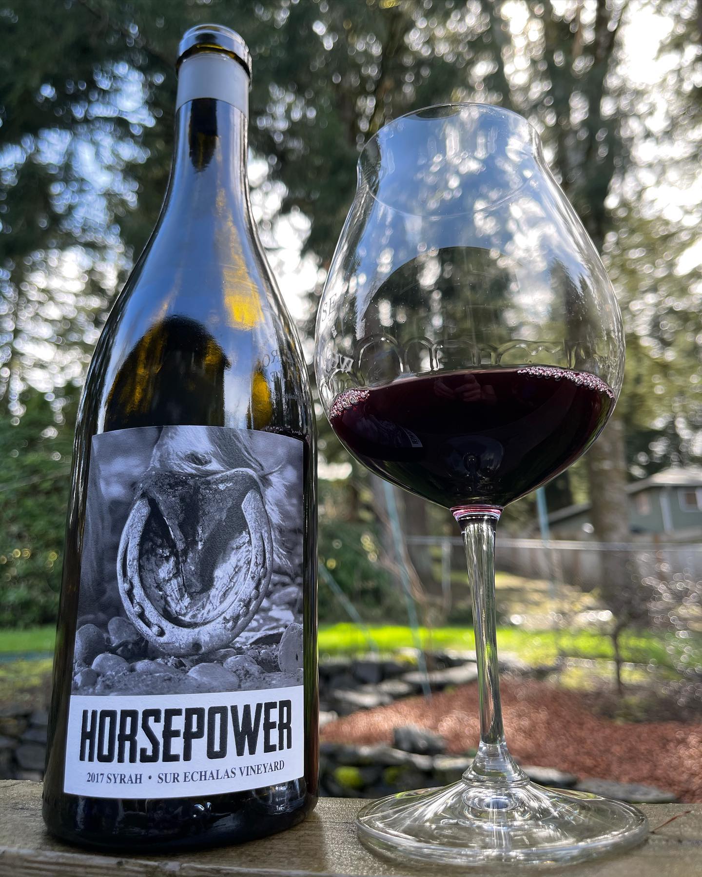 2017 Sur Echalas Vineyard Syrah Review