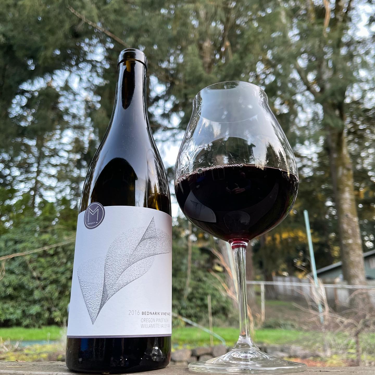 2016 Bednarik Vineyard Review