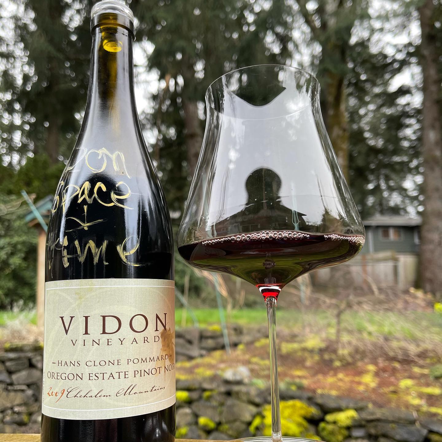 2009 Hans Clone Pommard Review