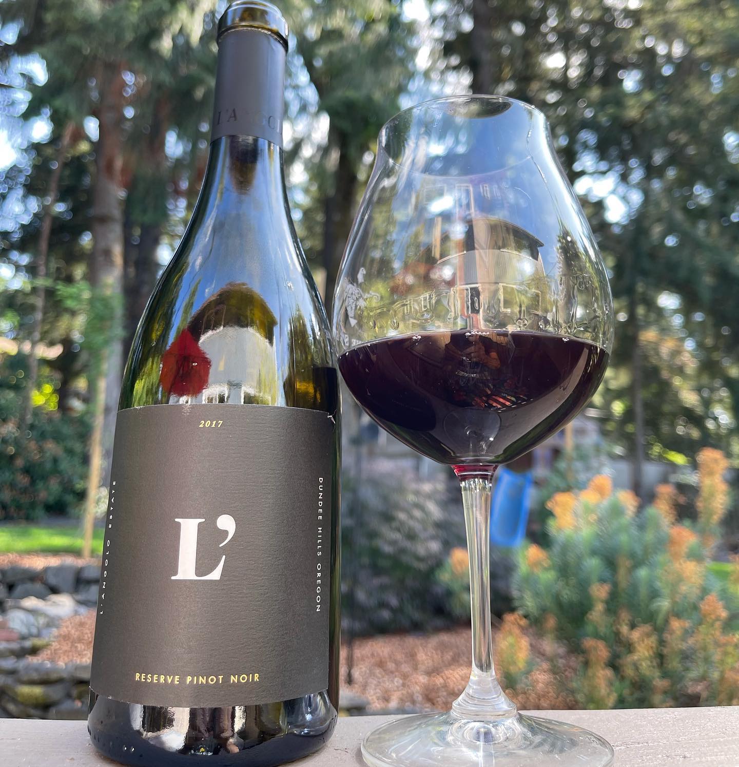 2017 LAngolo Reserve Pinot Review