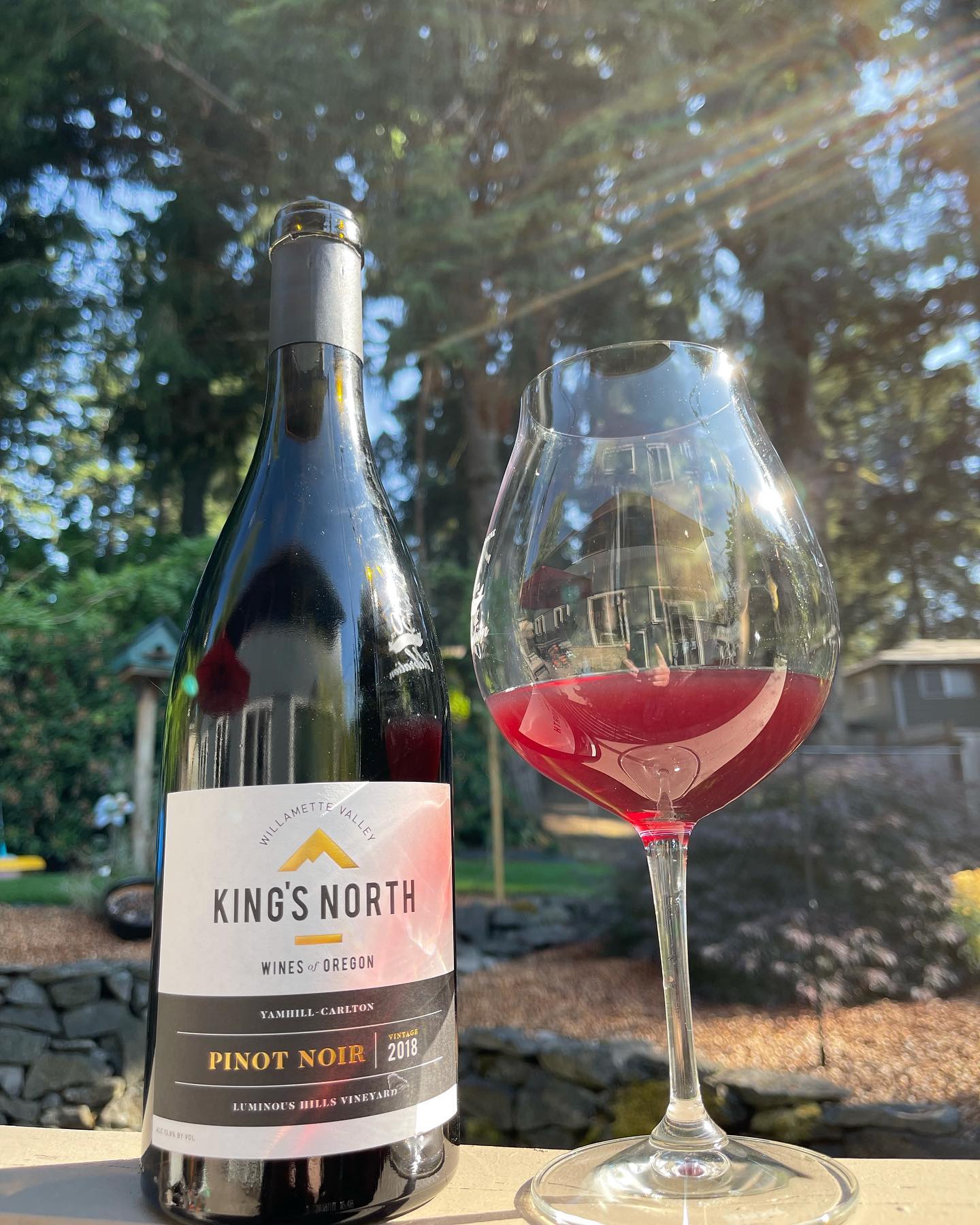 2018 Kings North Luminous Hills Pinot Review
