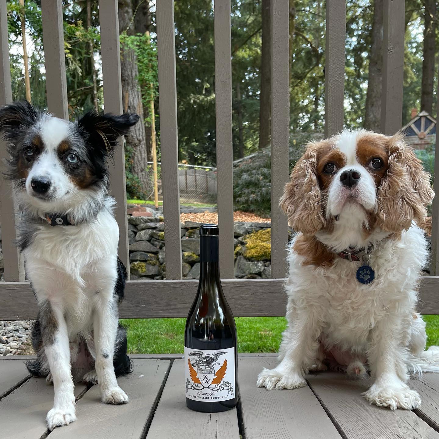 2018 Purple Hands Latchkey Vineyard Review