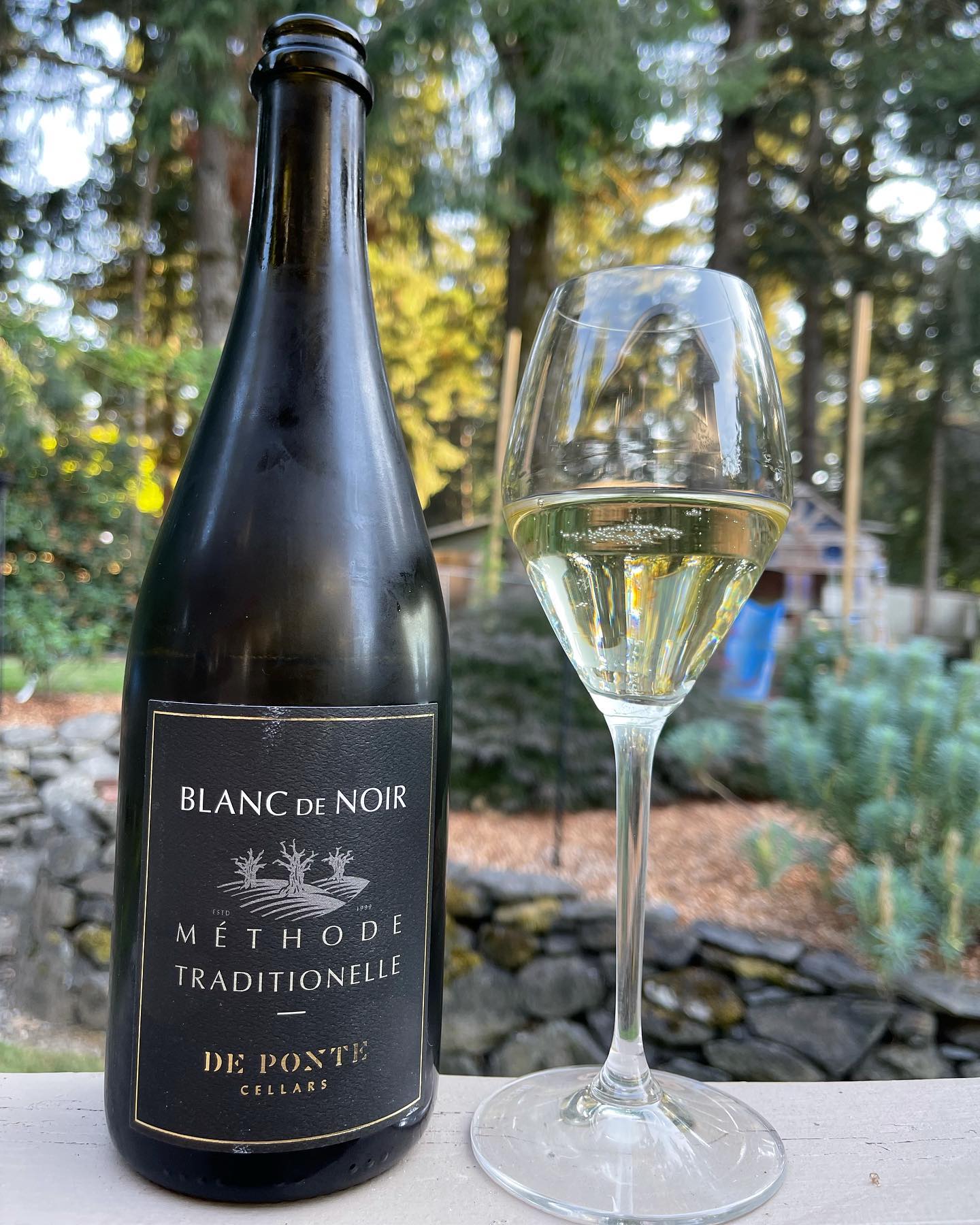 Day 7 of Oregon Sparkling!
