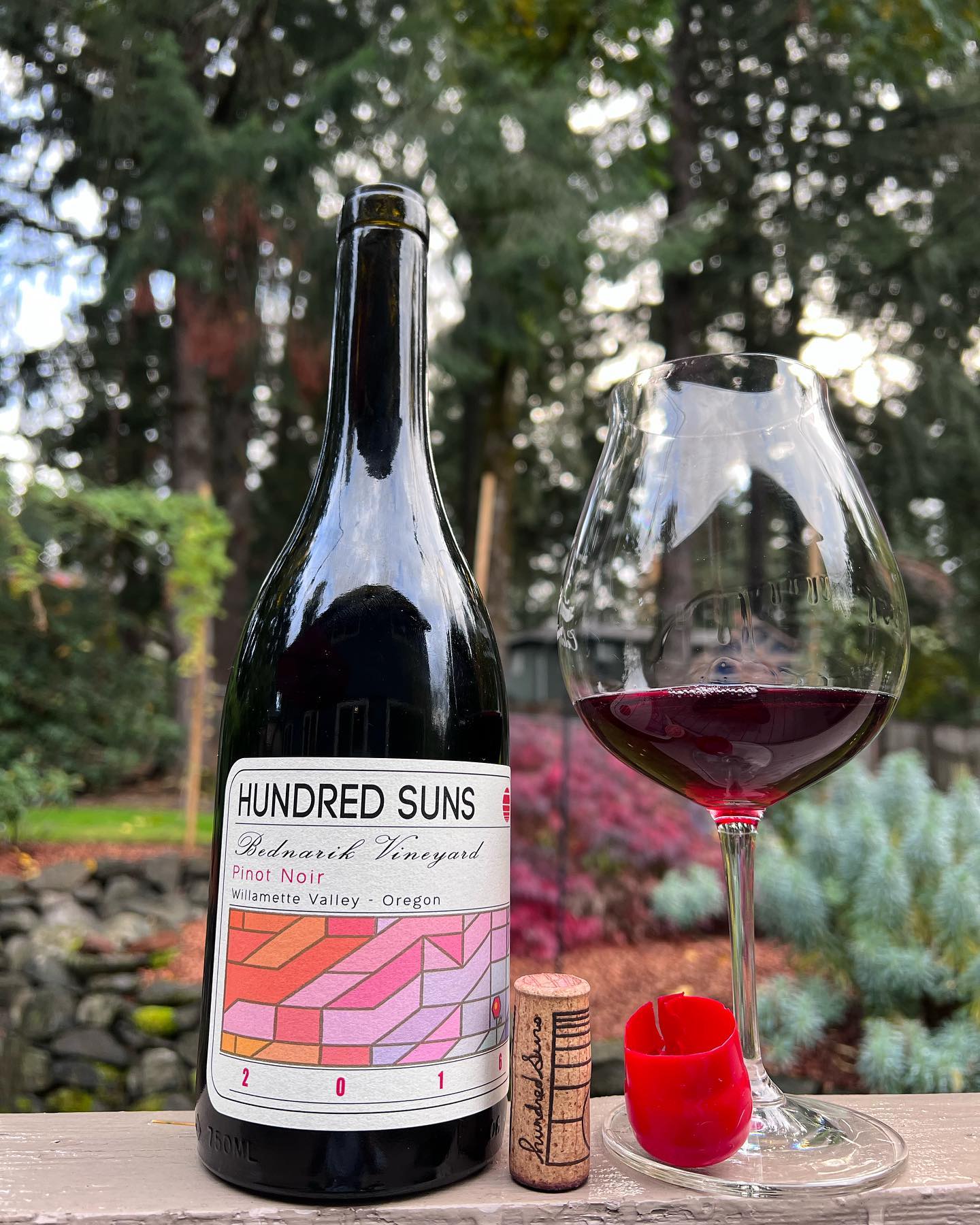 2016 Bednarik Pinot Noir Review