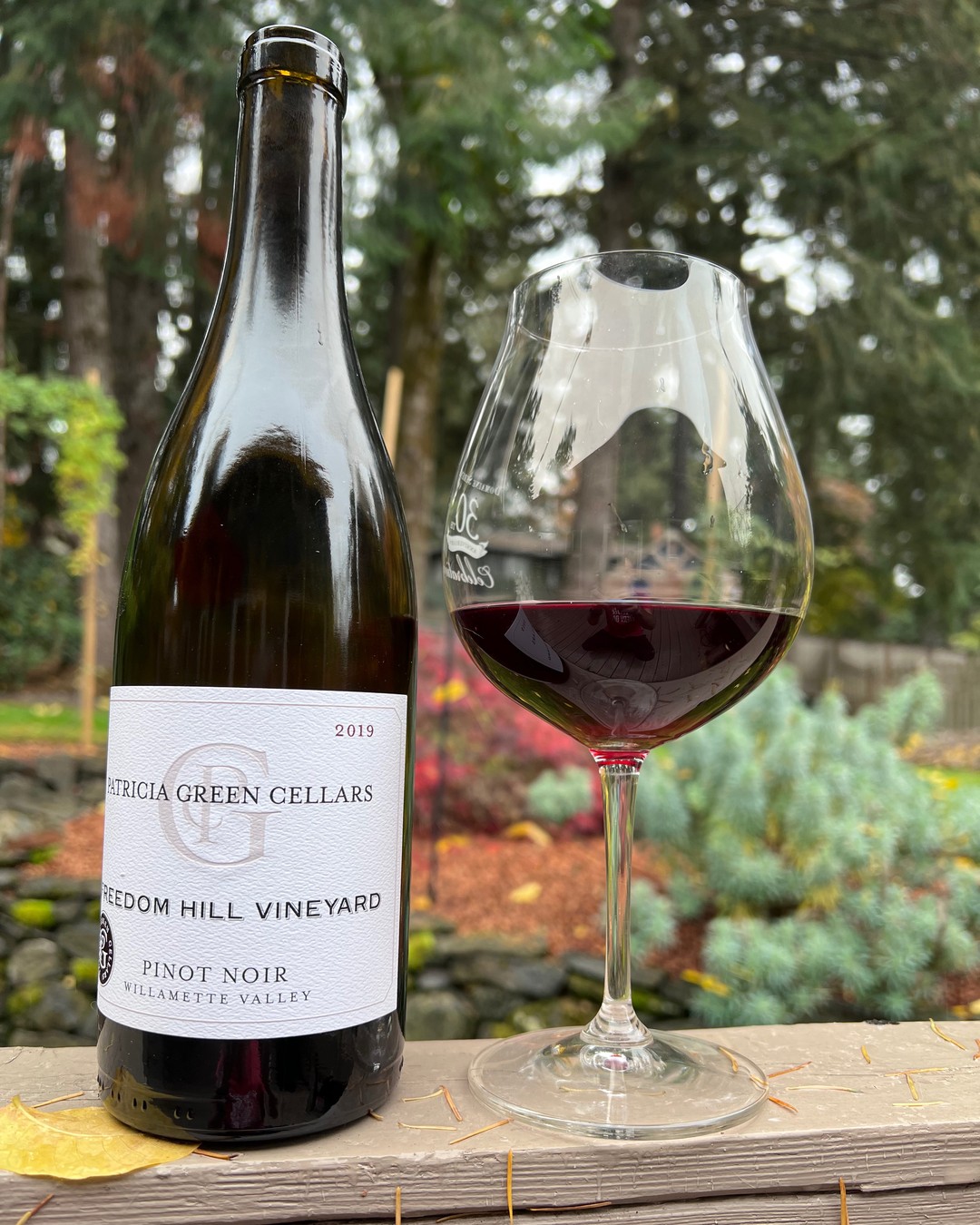 2019 Freedom Hill Patricia Green Pinot Review