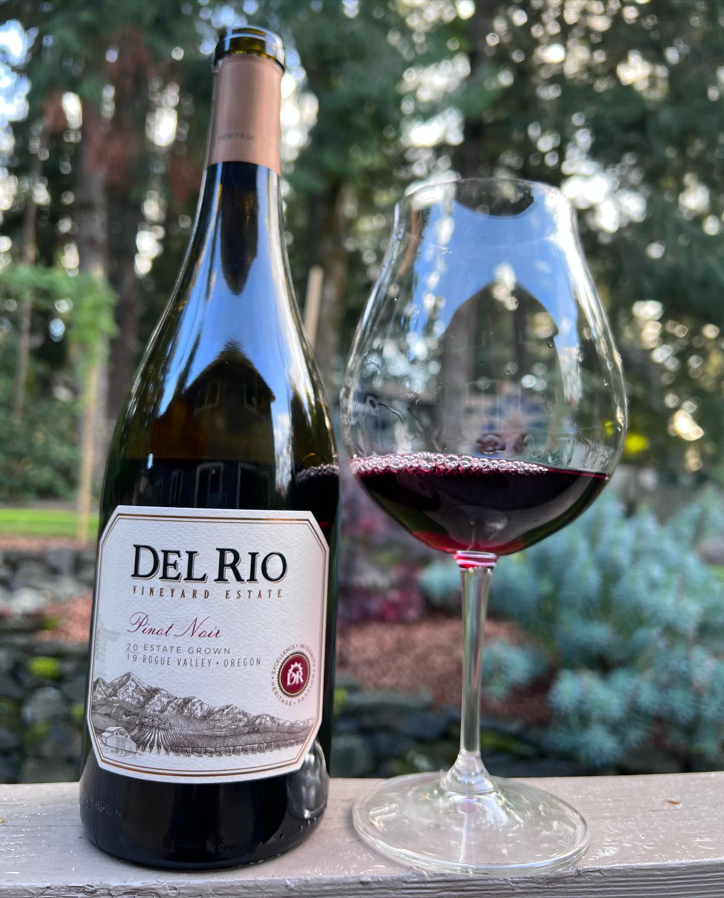 2019 Estate Pinot Review