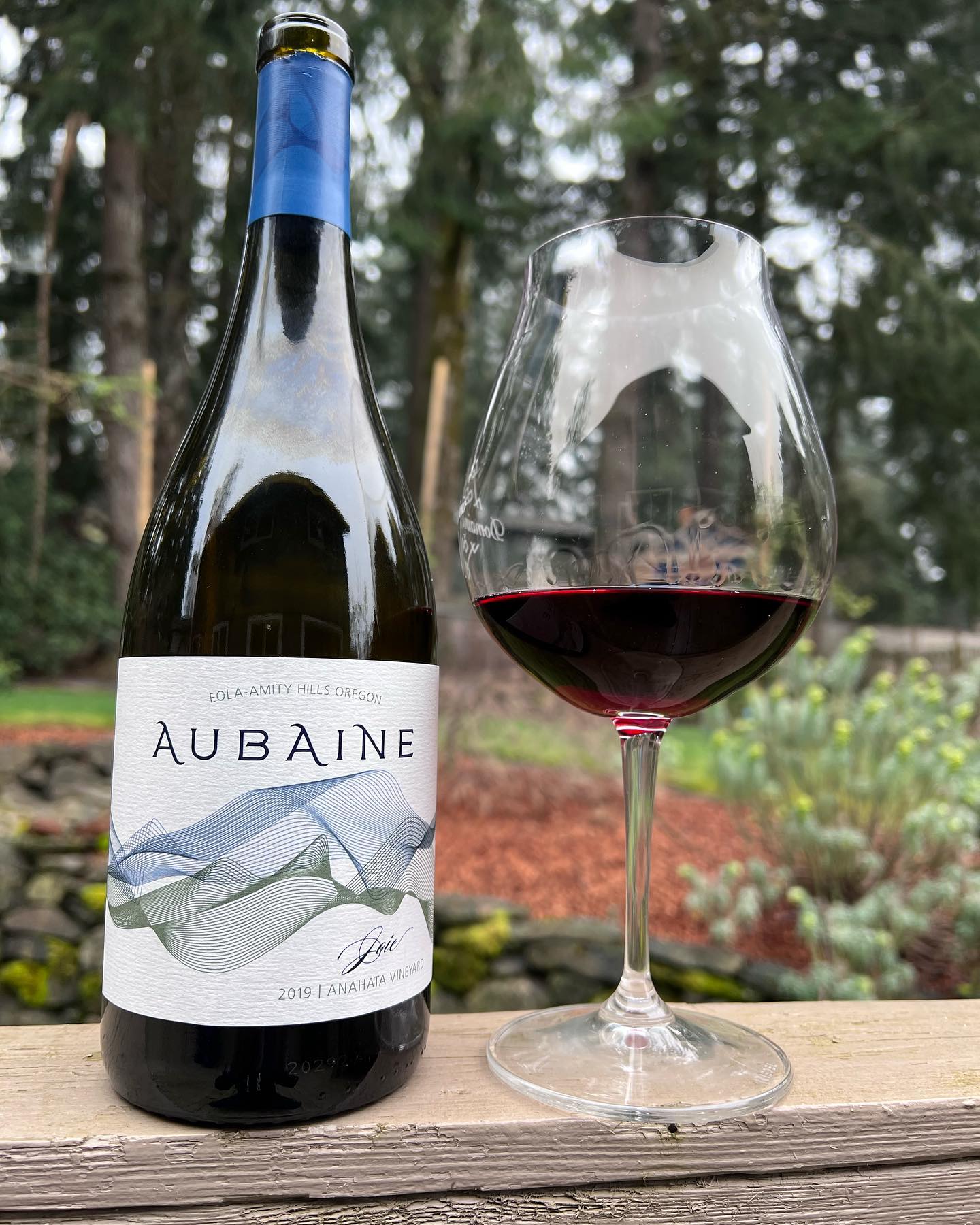 2019 Aubaine Joie Pinot Noir Review