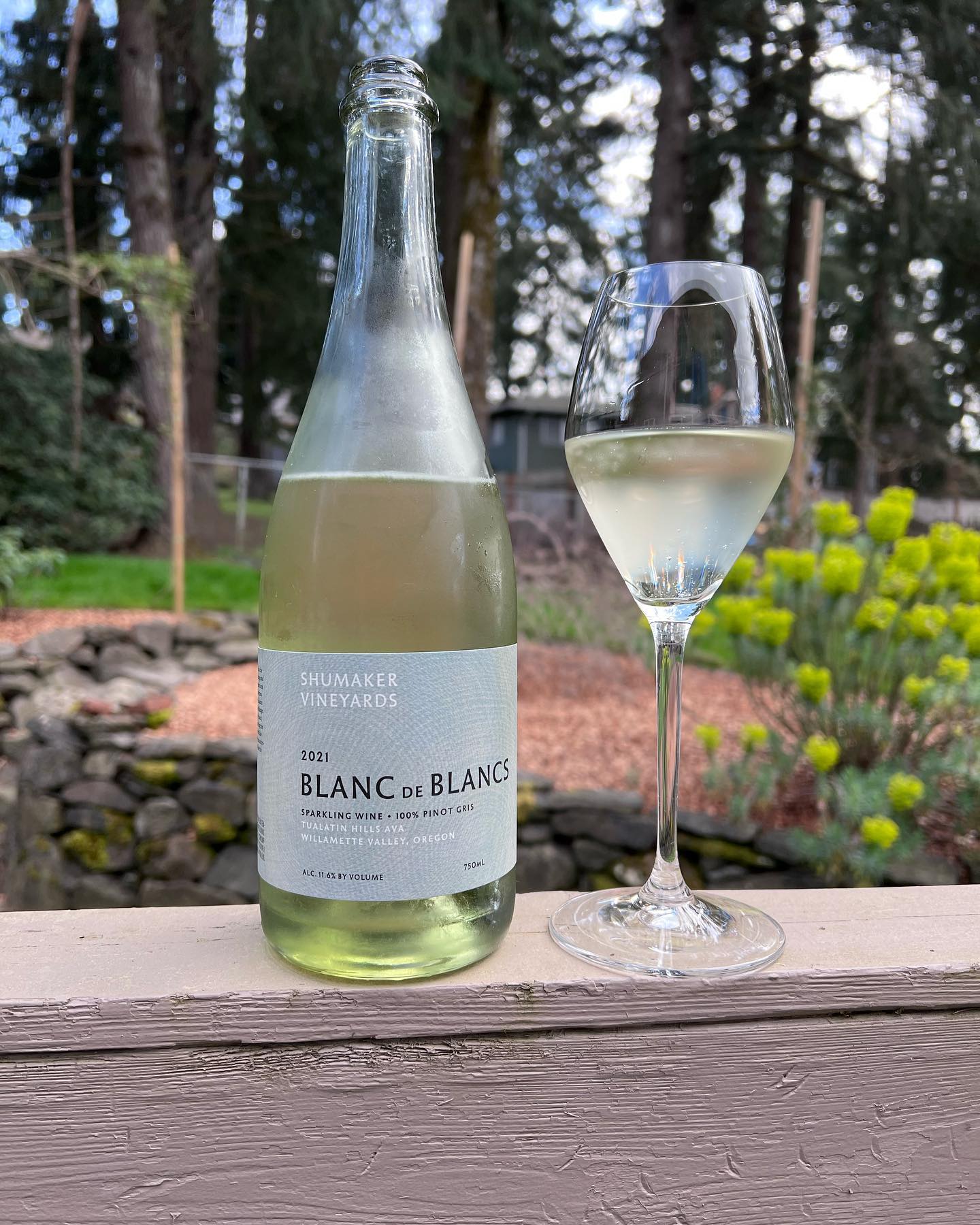 2021 Shumaker Pinot Gris Blanc Review