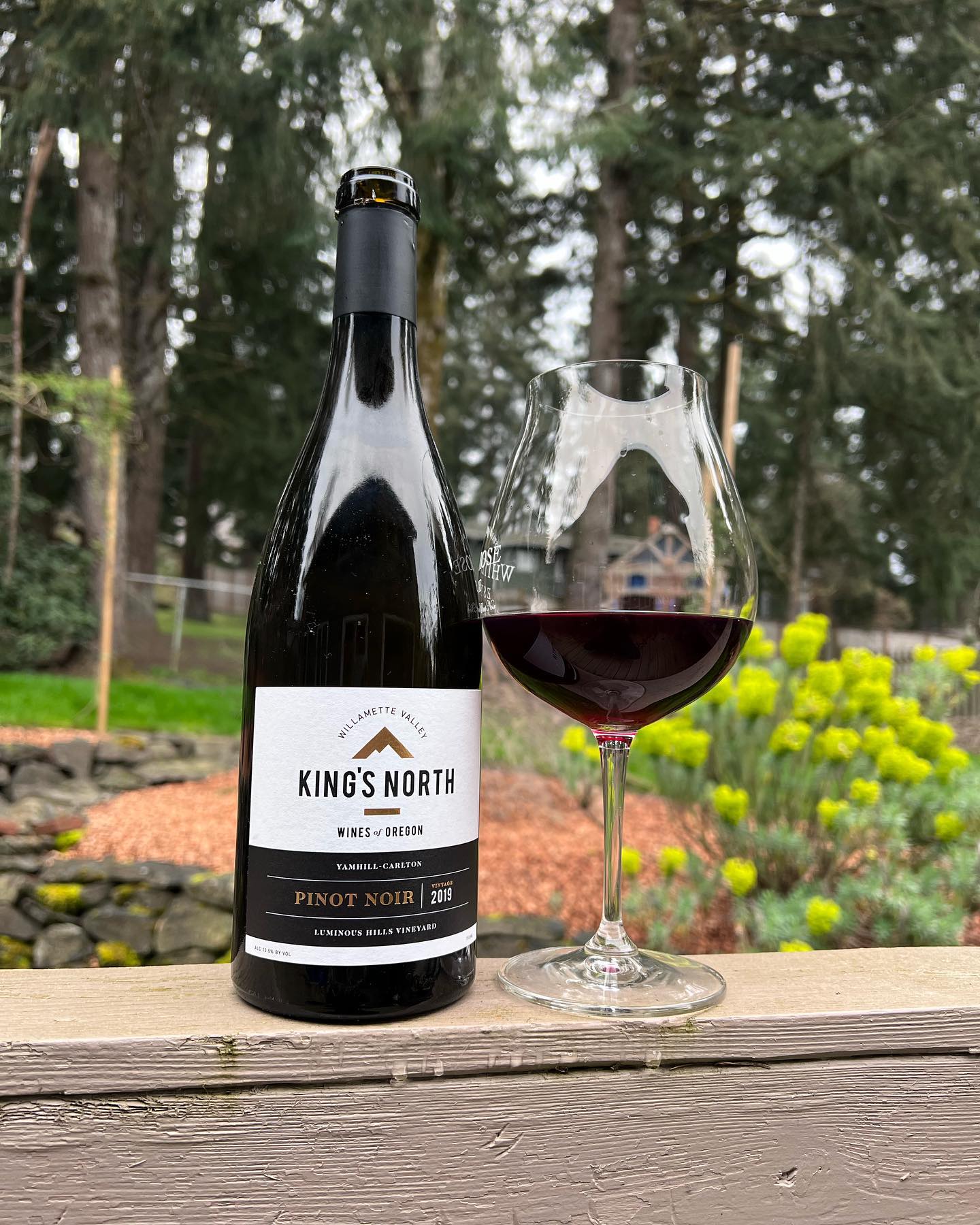 2019 Kings North Luminous Hills Pinot Review