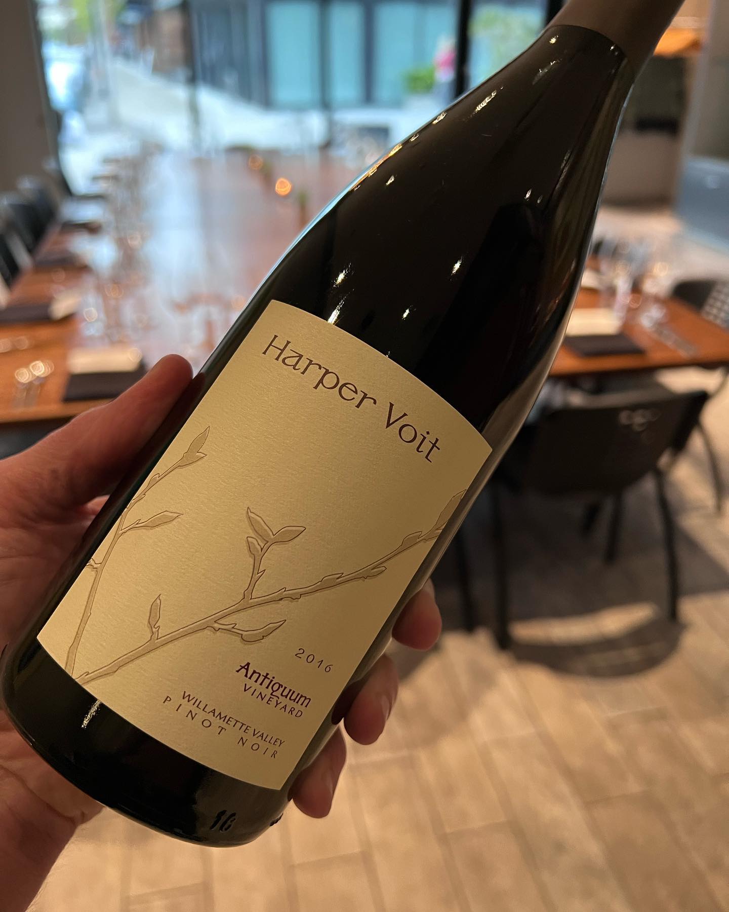 2016 Harper Voit Antiquum Pinot Noir Review