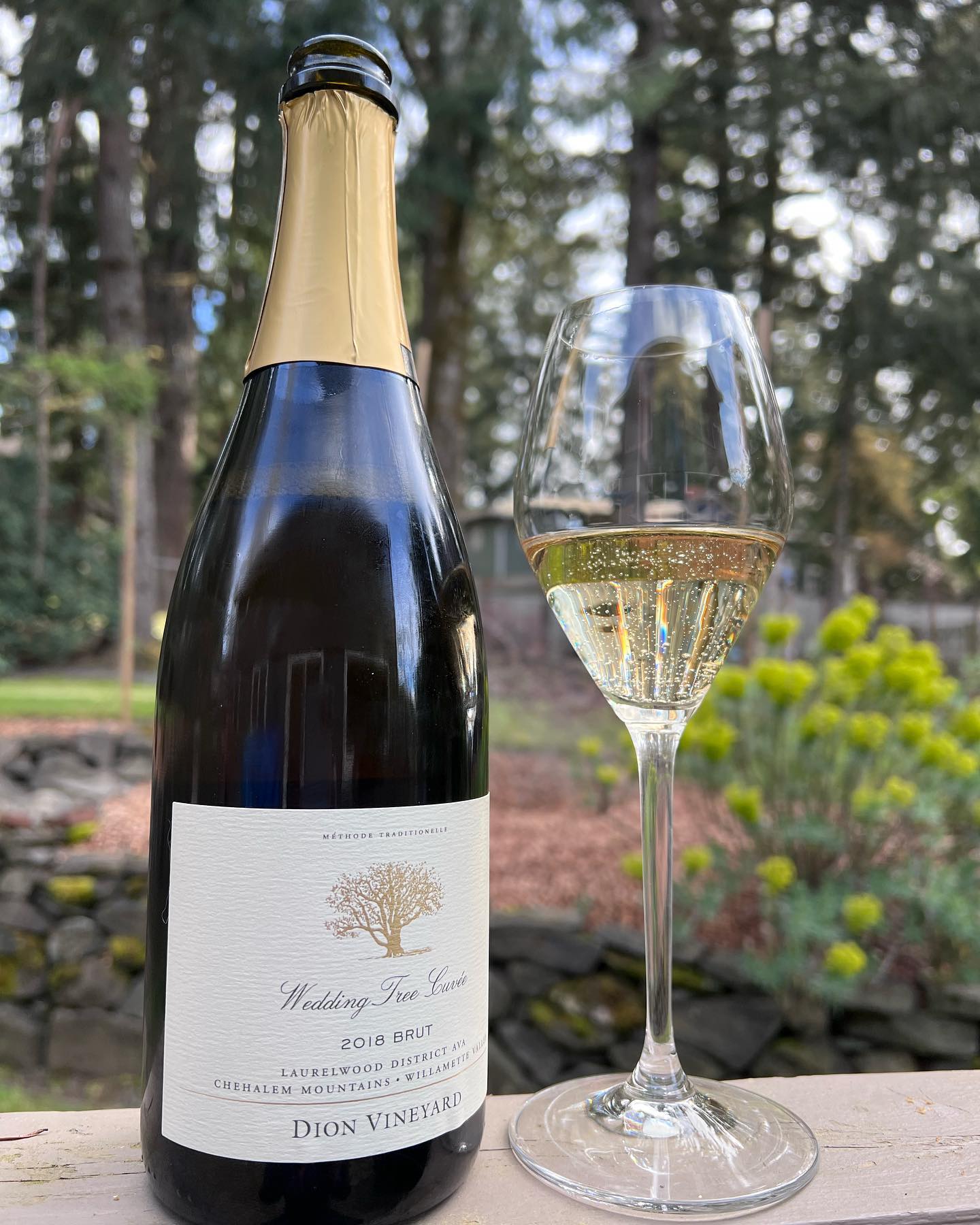 2018 Wedding Tree Cuvee Review