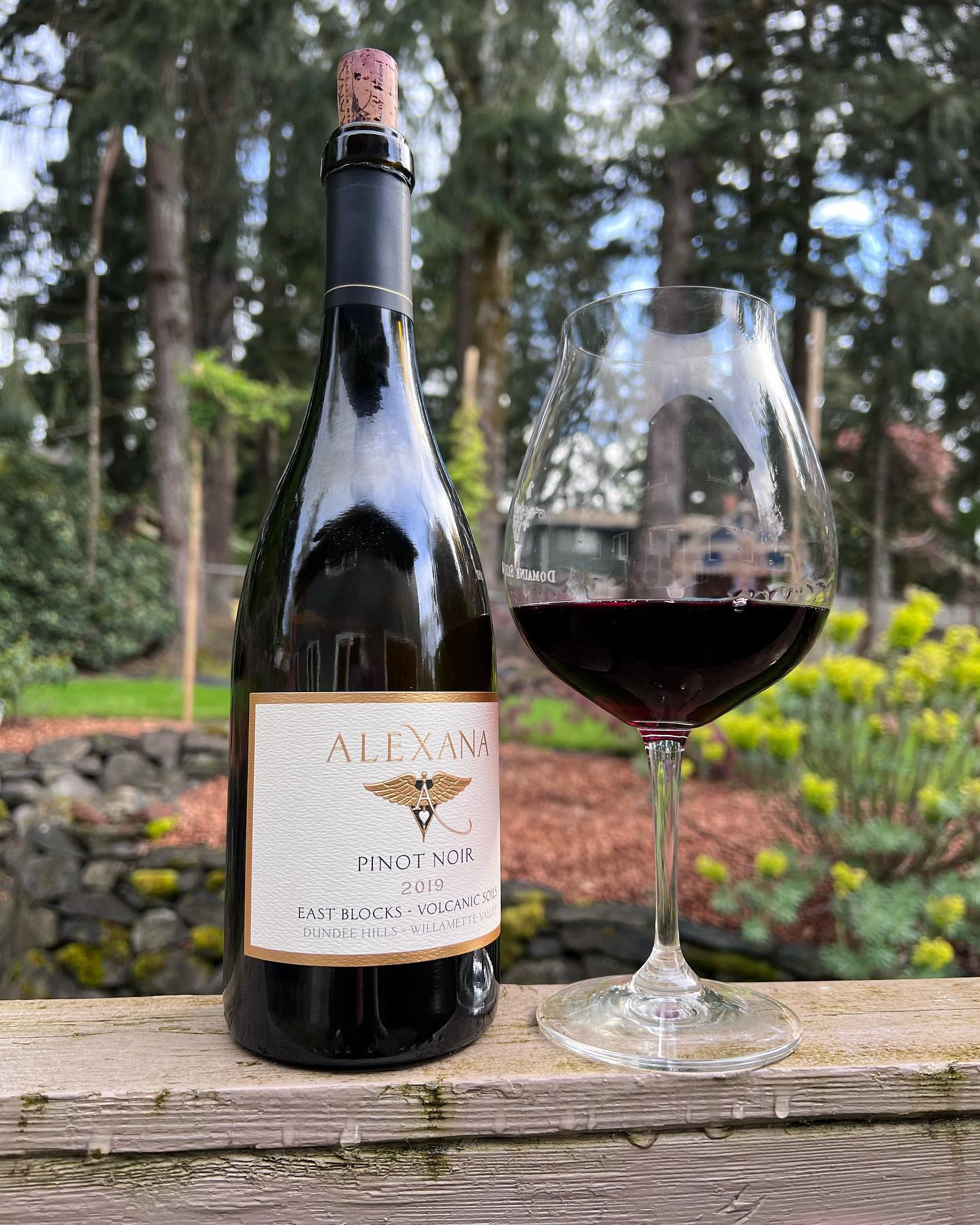 2019 Alexana East Blocks Volcanic Soils Pinot Review