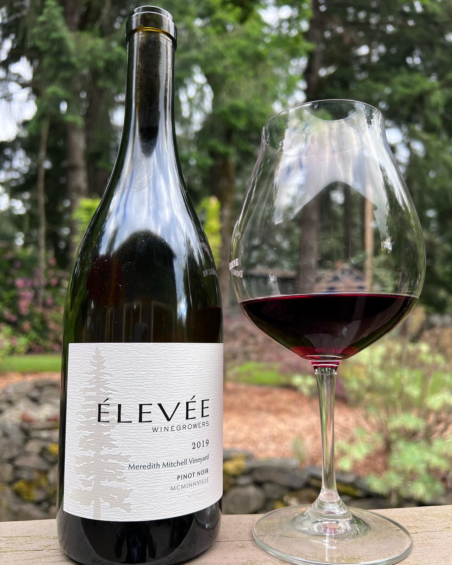 2019 Meredith Mitchell Pinot Noir Review