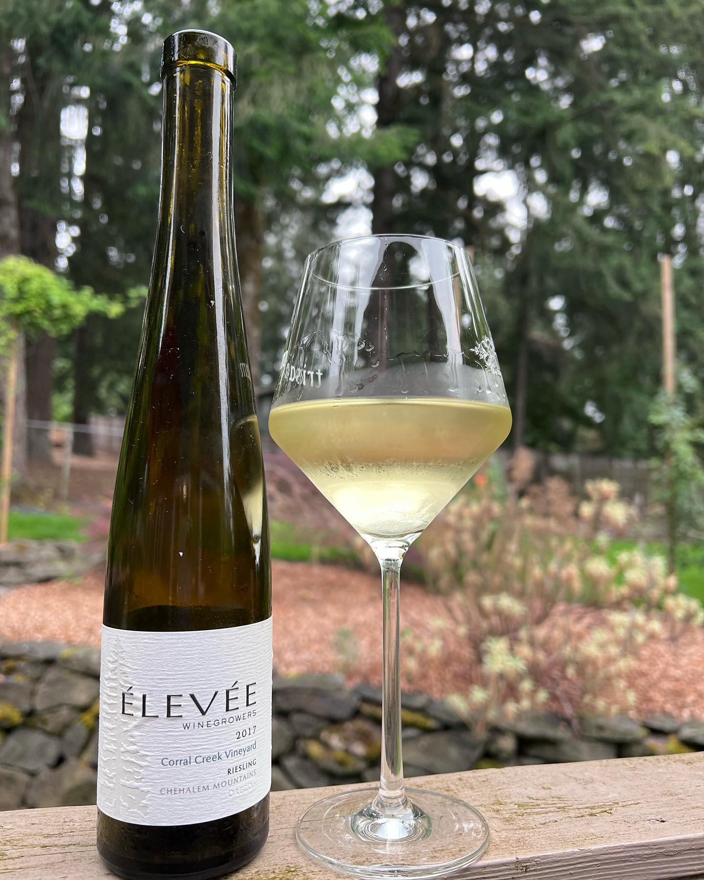 2017 Corral Creek Vineyard Riesling Review