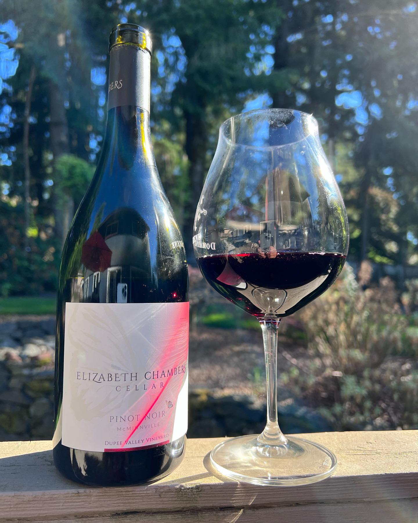 2019 Dupee Pinot Noir Review