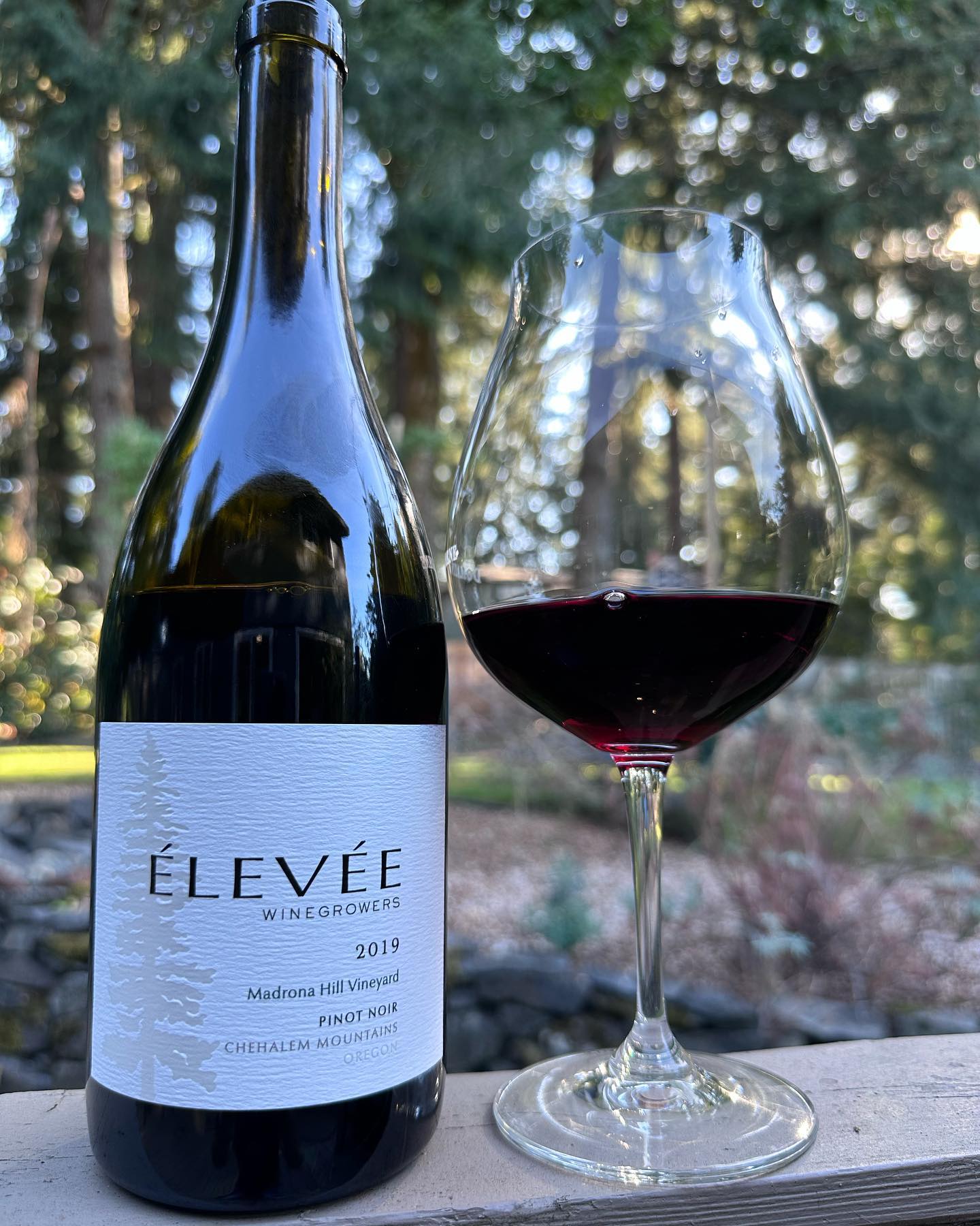 2019 Madrona Hill Review