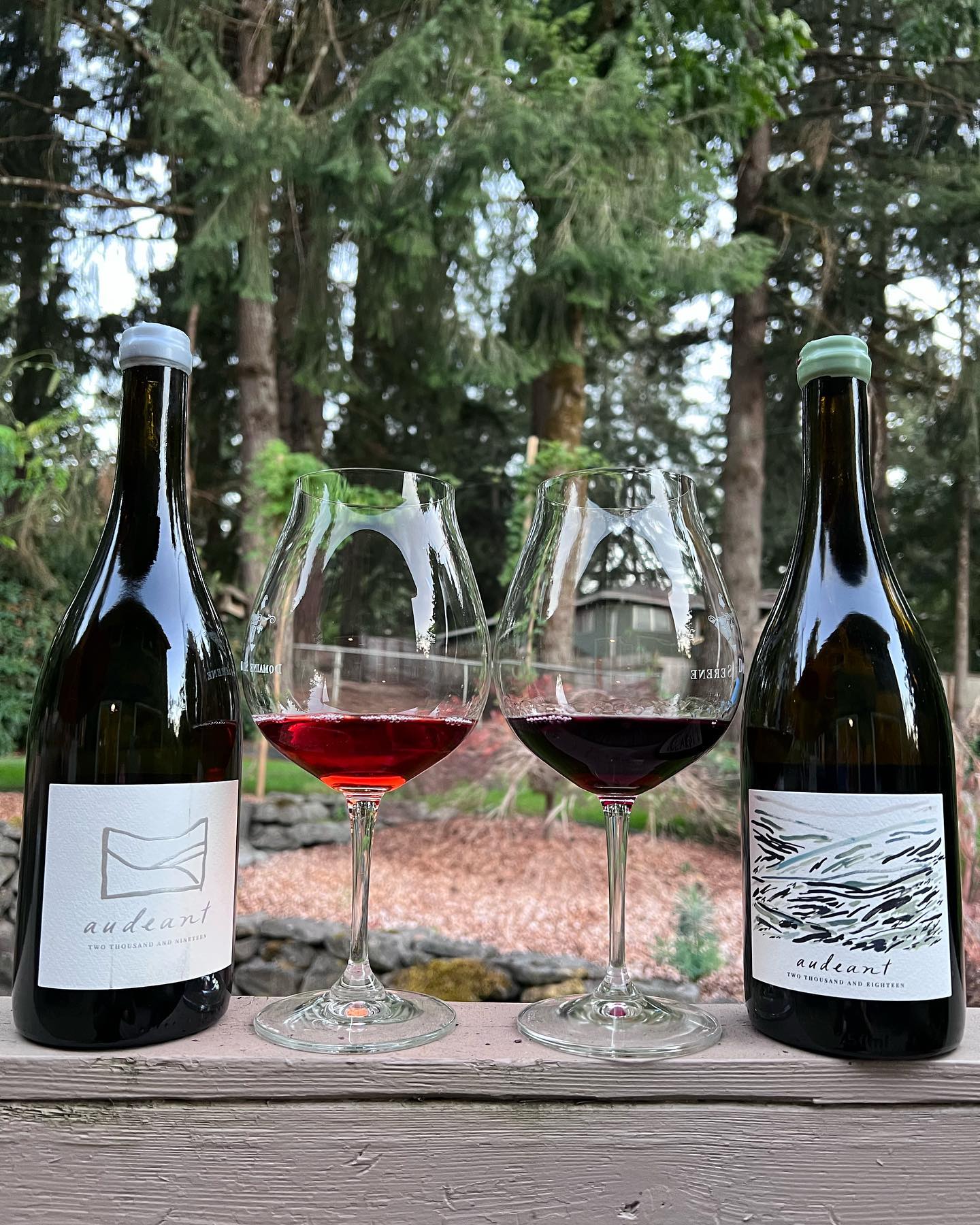 2018 Luminous Hills Pinot Review