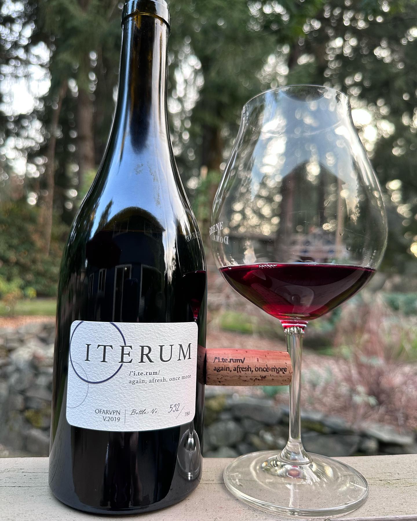 2019 Iterum Arlyn Vineyard Pinot Noir Review