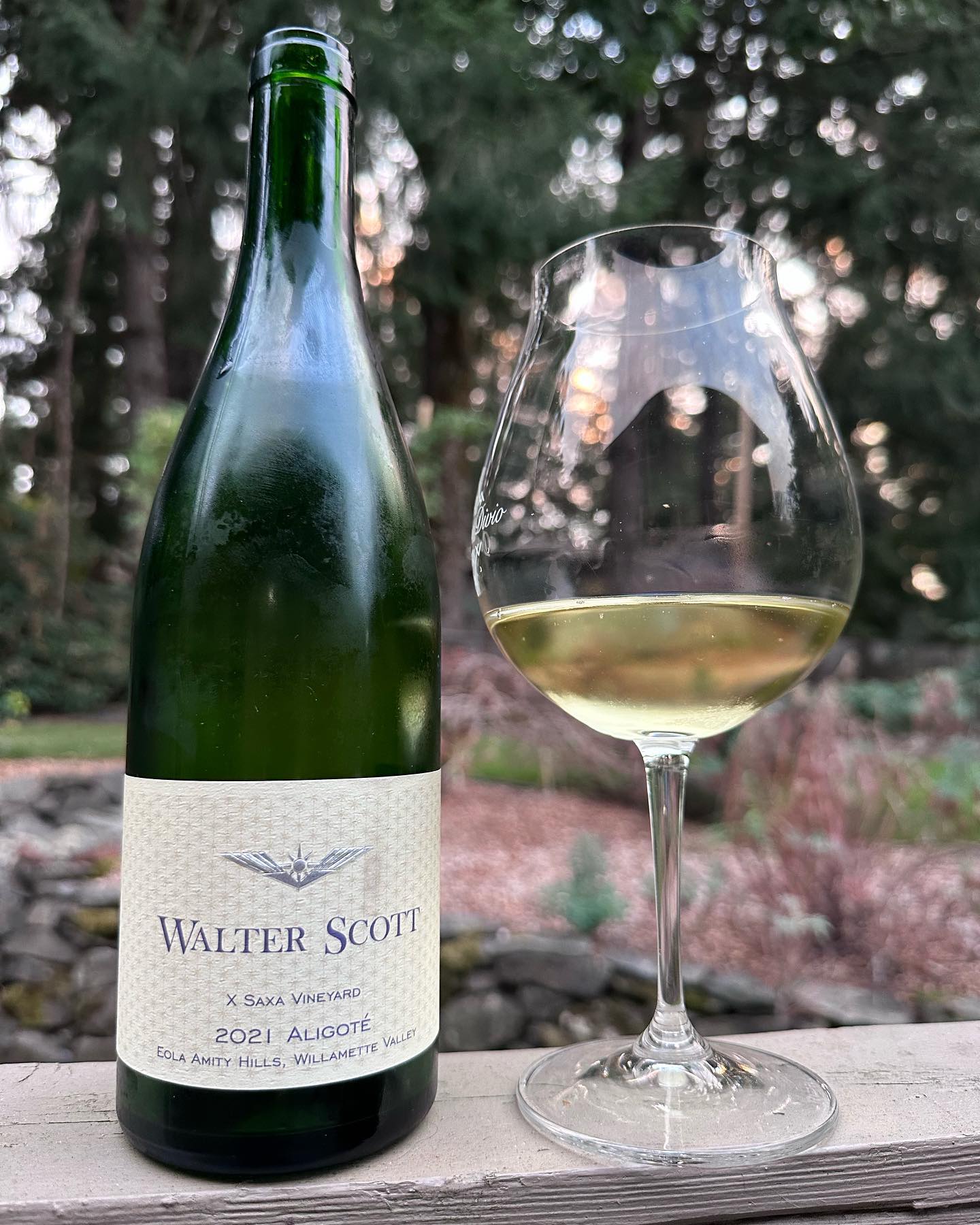 2021 Sava Vineyard Aligote Review