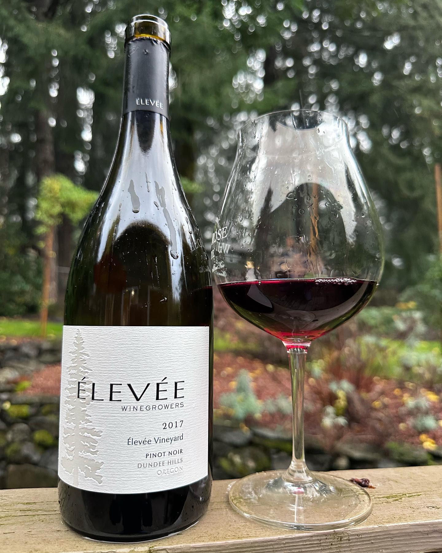 2017 Elevée Vineyard Pinot Noir Review