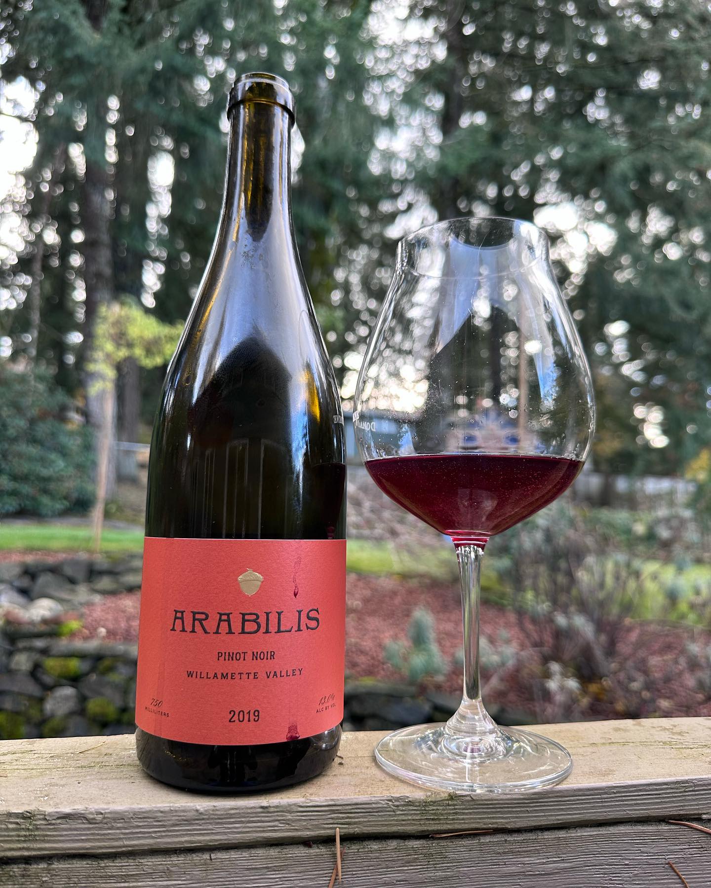 2019 Willamette Valley Pinot Noir Review