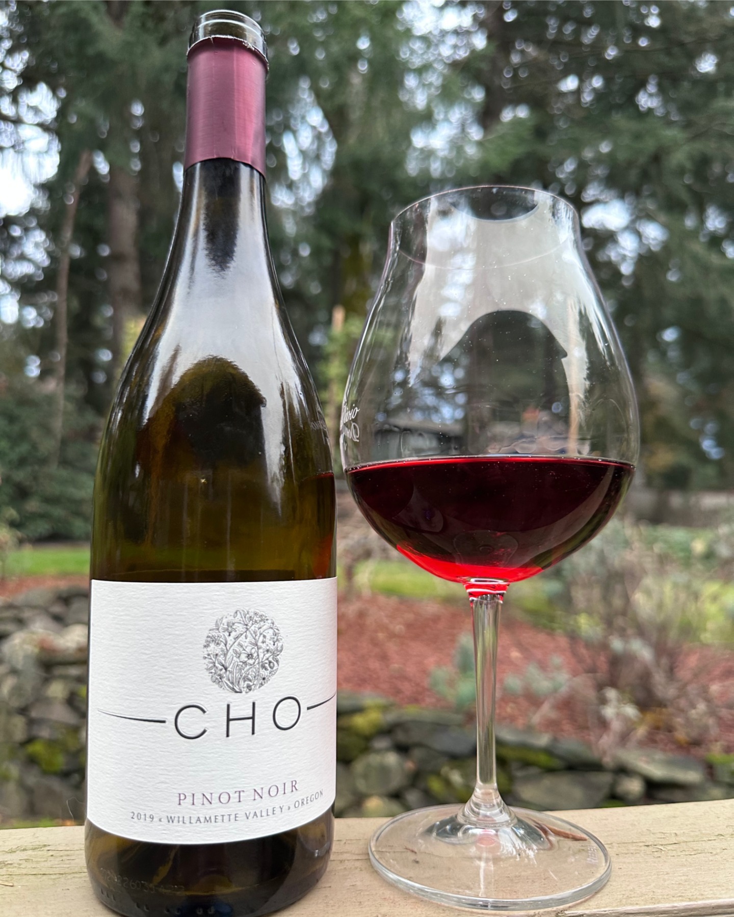 2019 Willamette Valley Pinot Noir Review