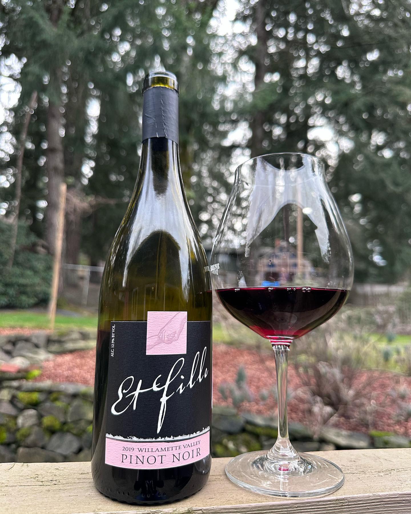2019 Willamette Valley Pinot Noir Review