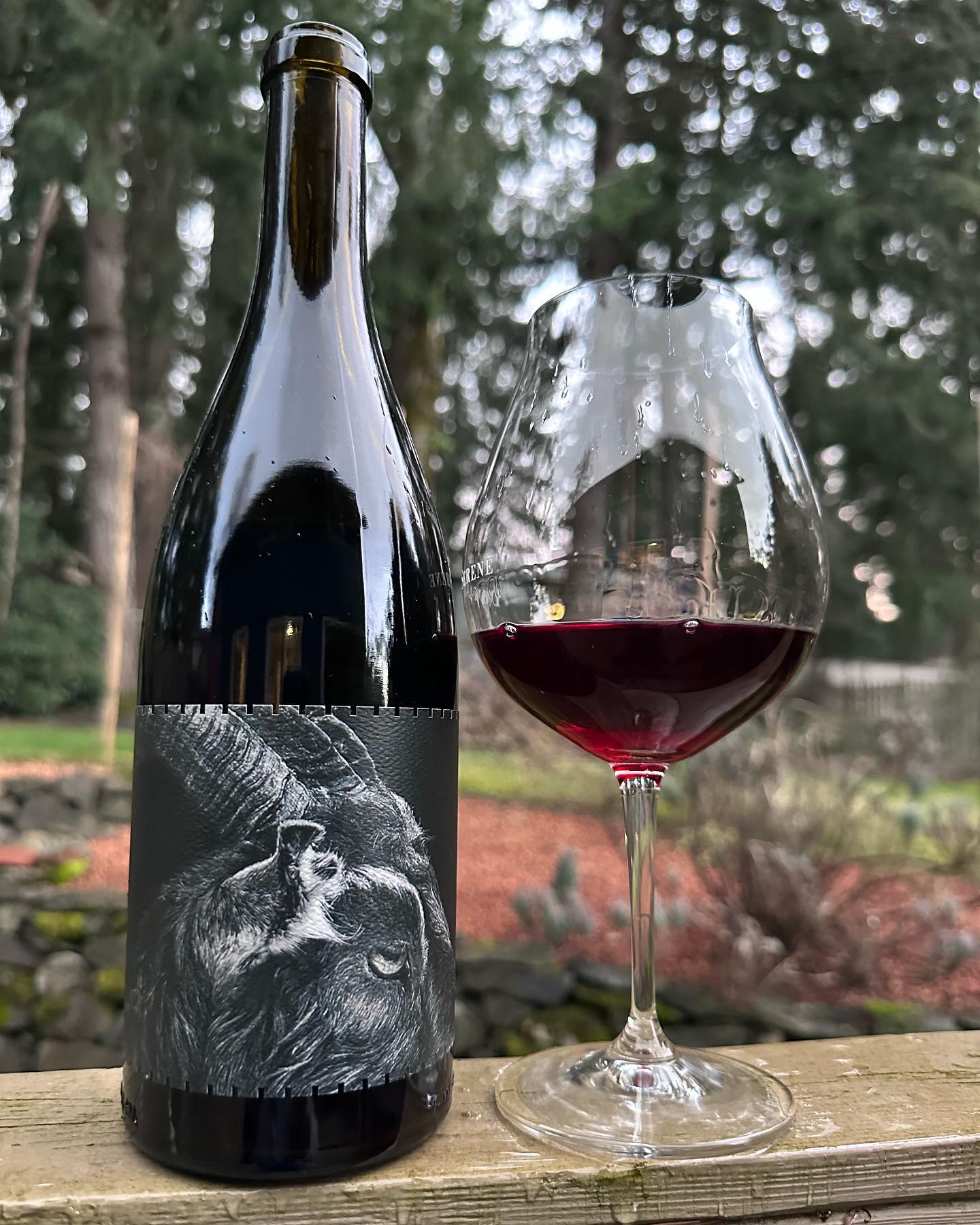2021 Black Sheep Pinot Noir Review
