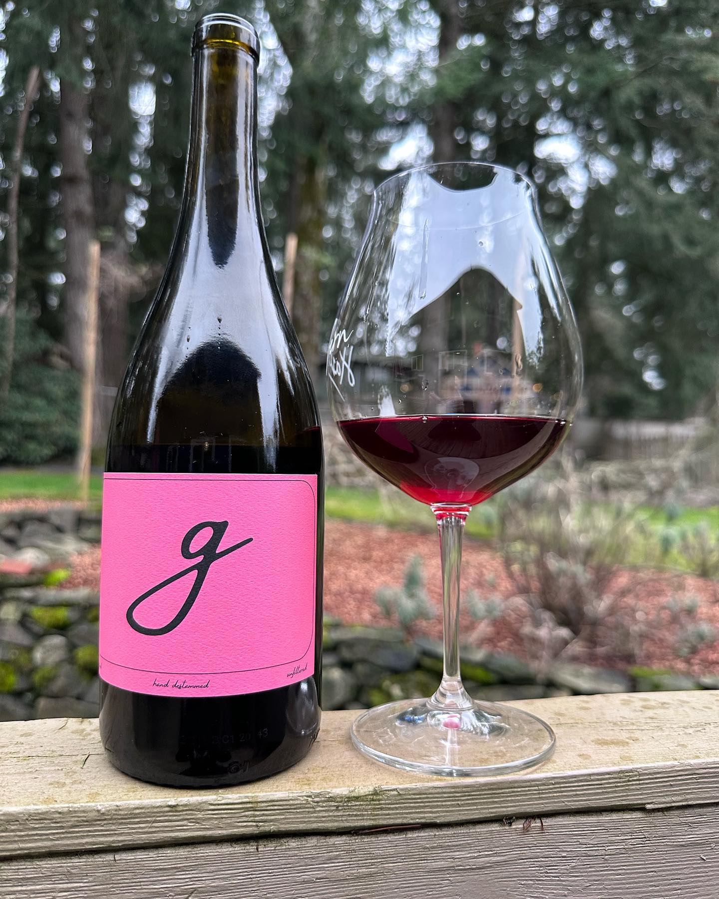 2021 Guerrilla Wine Co Chehalem-Mountains AVA Pinot Review