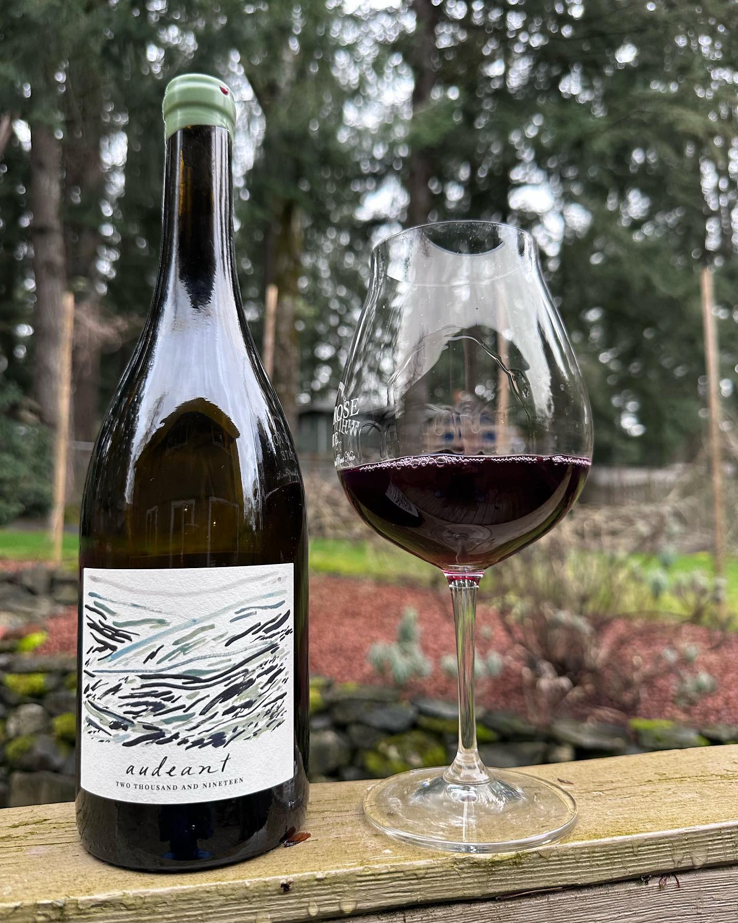 2019 Audeant Luminous Hills Pinot Noir Review