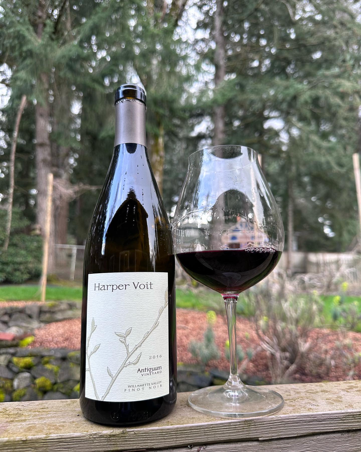 2016 Harper Voit Antiquum Vineyard Pinot Noir Review