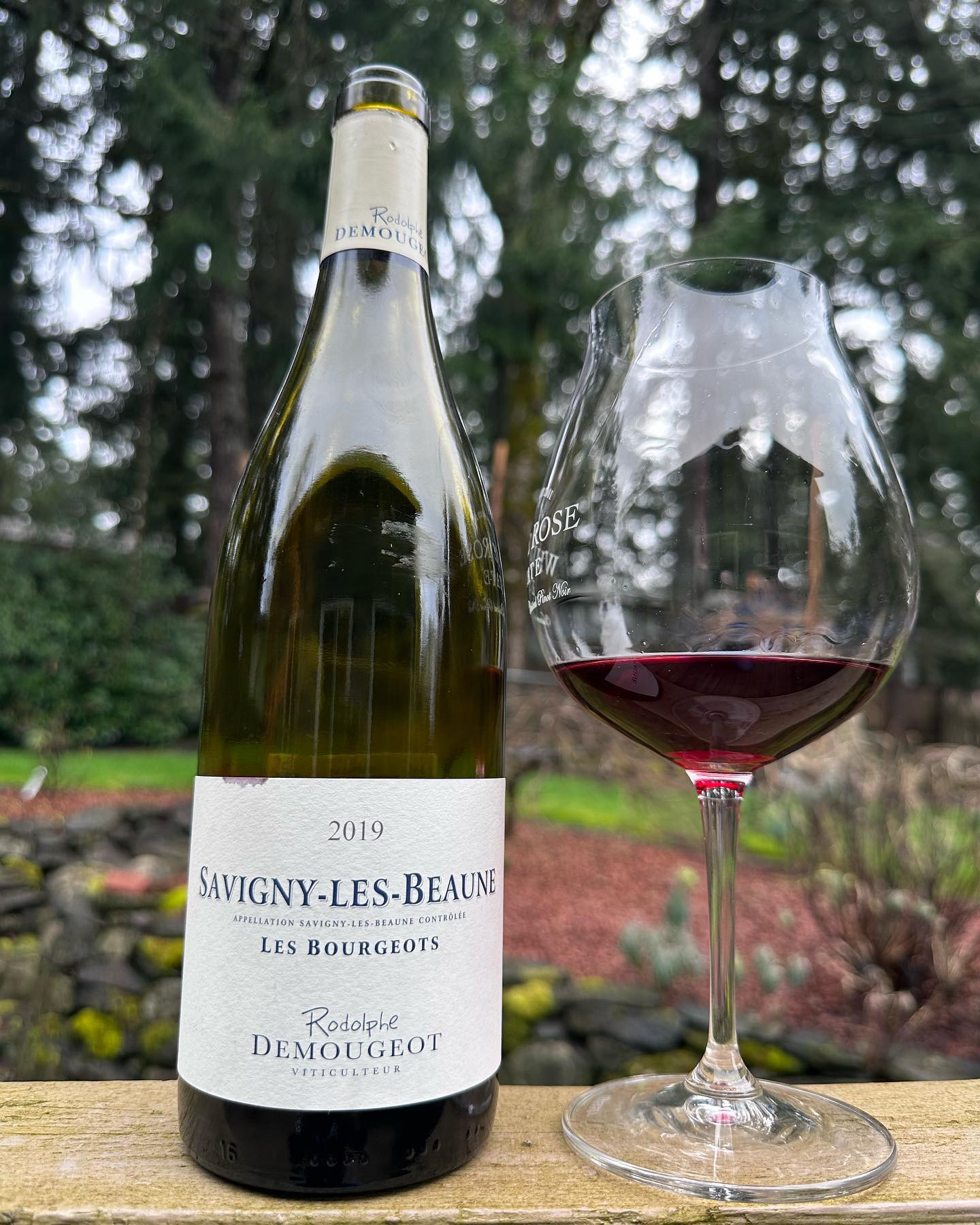 2019 Rodolphe Demougeot Savigny-Les-Beaune Pinot Noir There Review