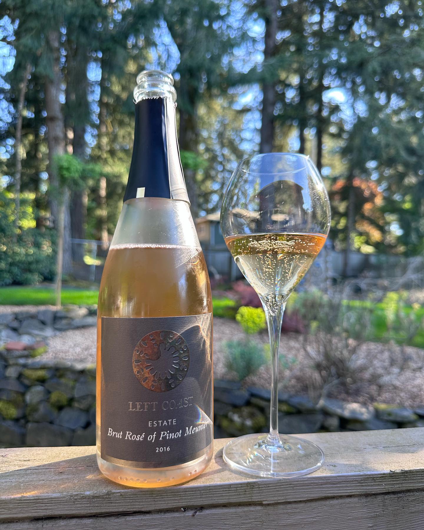 2016 Left Coast Brut Rose Review